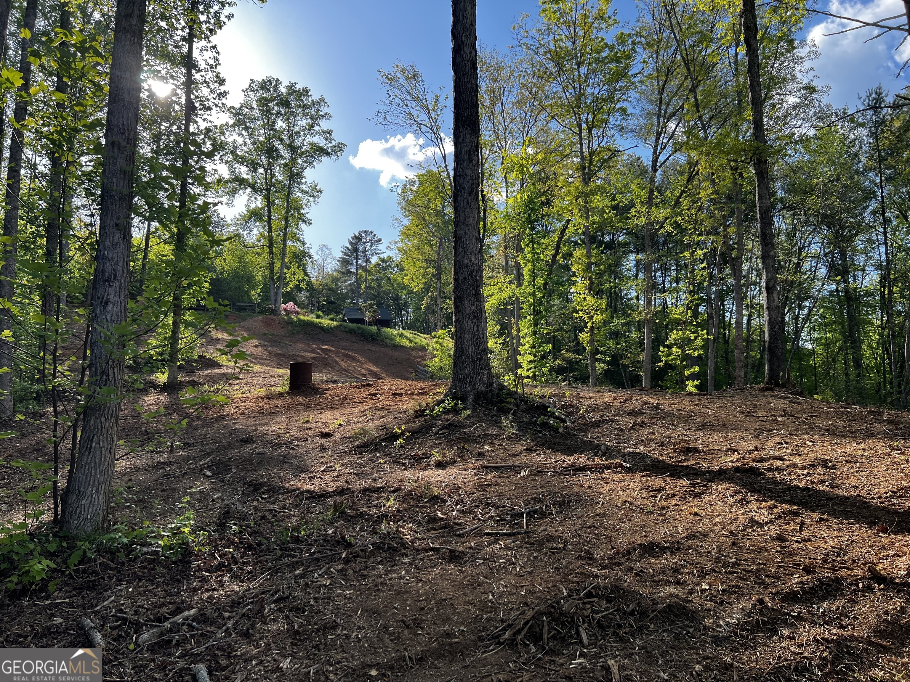 221 Muscadine Road Property Photo 31