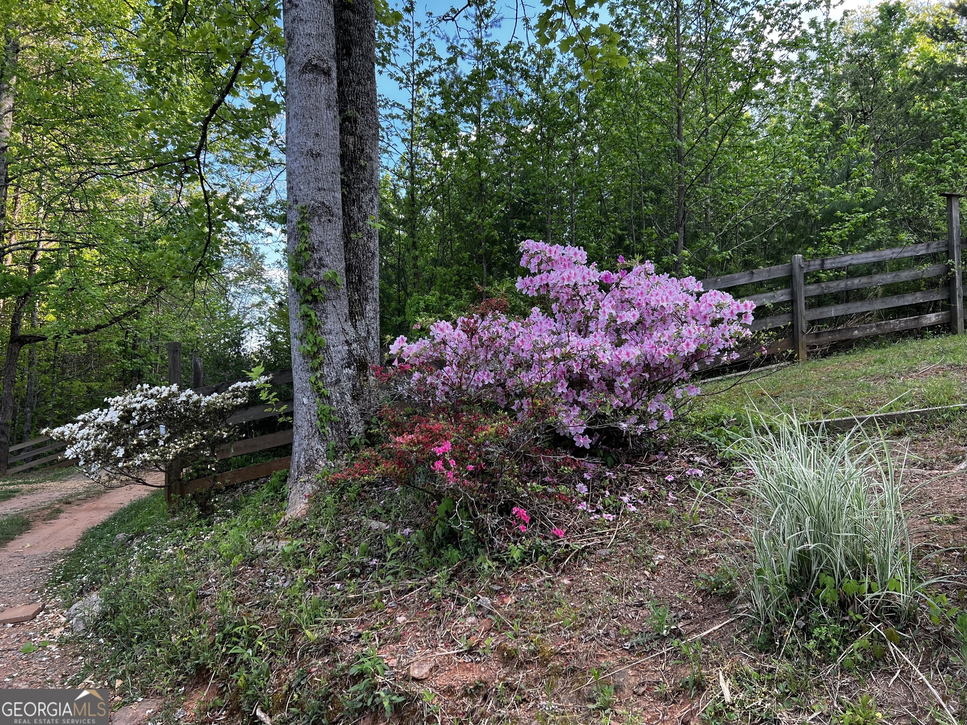 221 Muscadine Road Property Photo 32