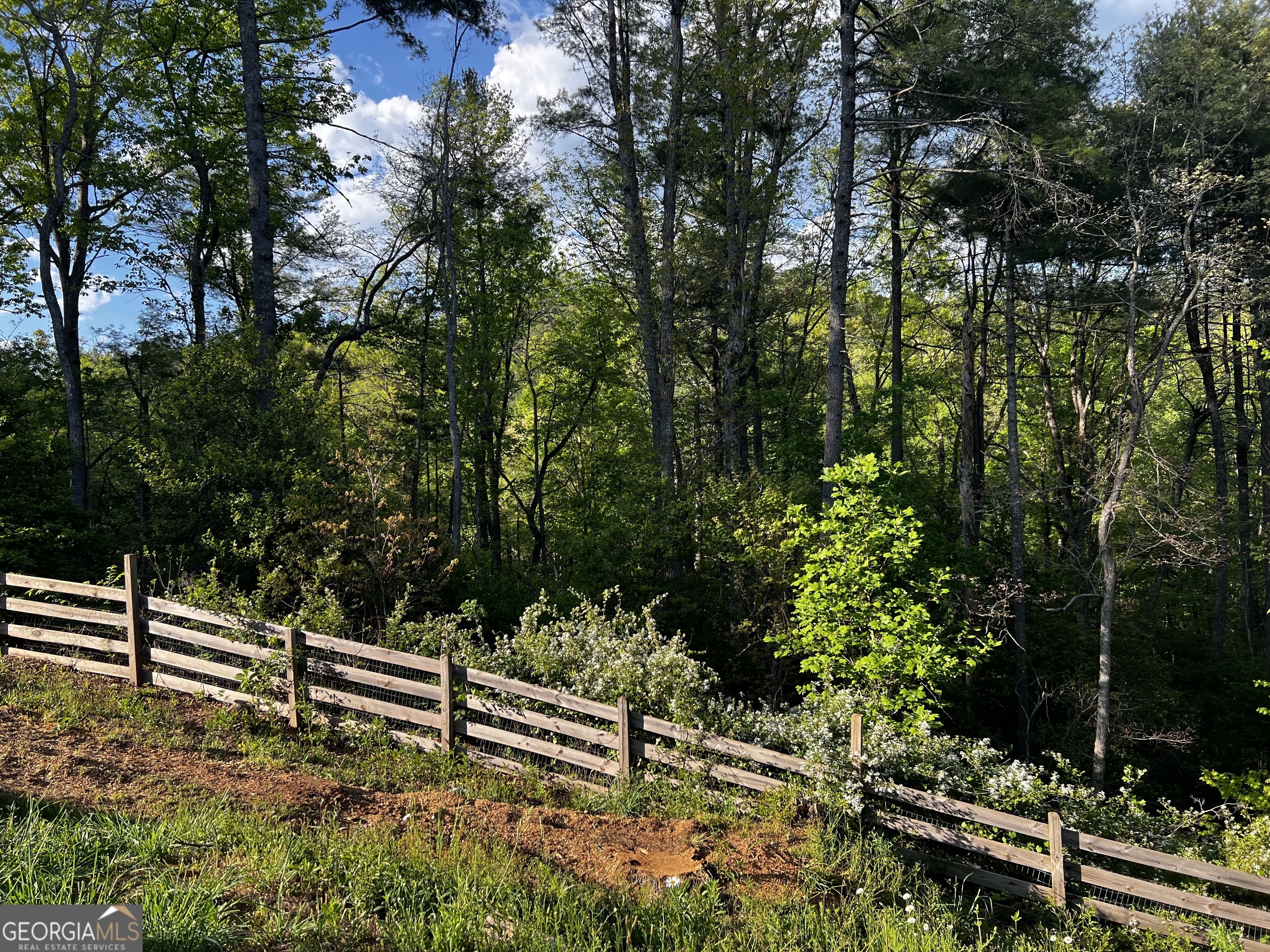 221 Muscadine Road Property Photo 36
