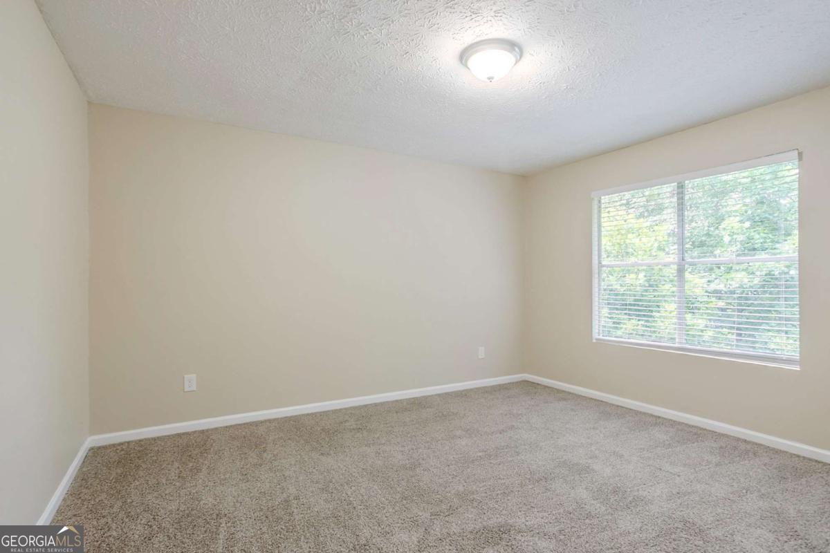 3822 Conley Downs Lane Property Photo 21