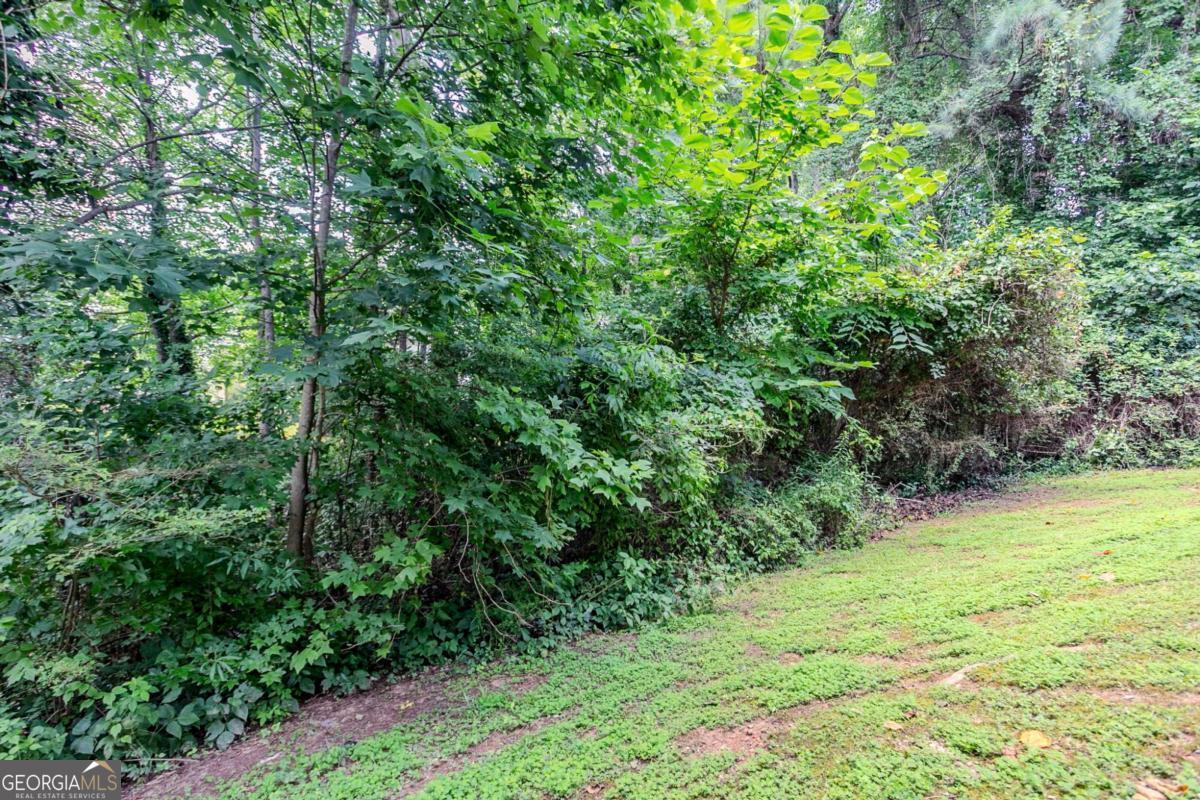 3822 Conley Downs Lane Property Photo 33