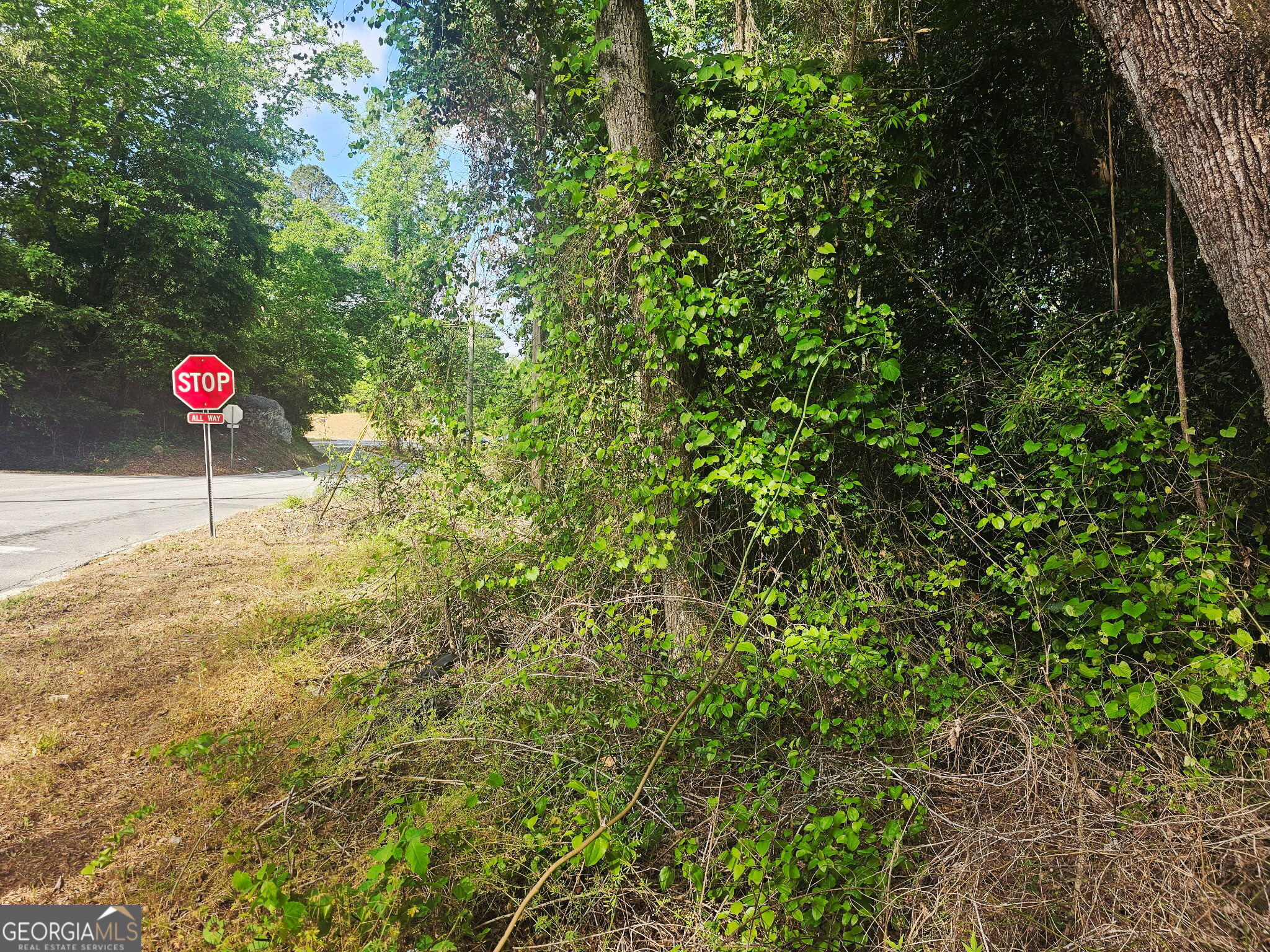 1956 Highway 20 Ne Property Photo 3