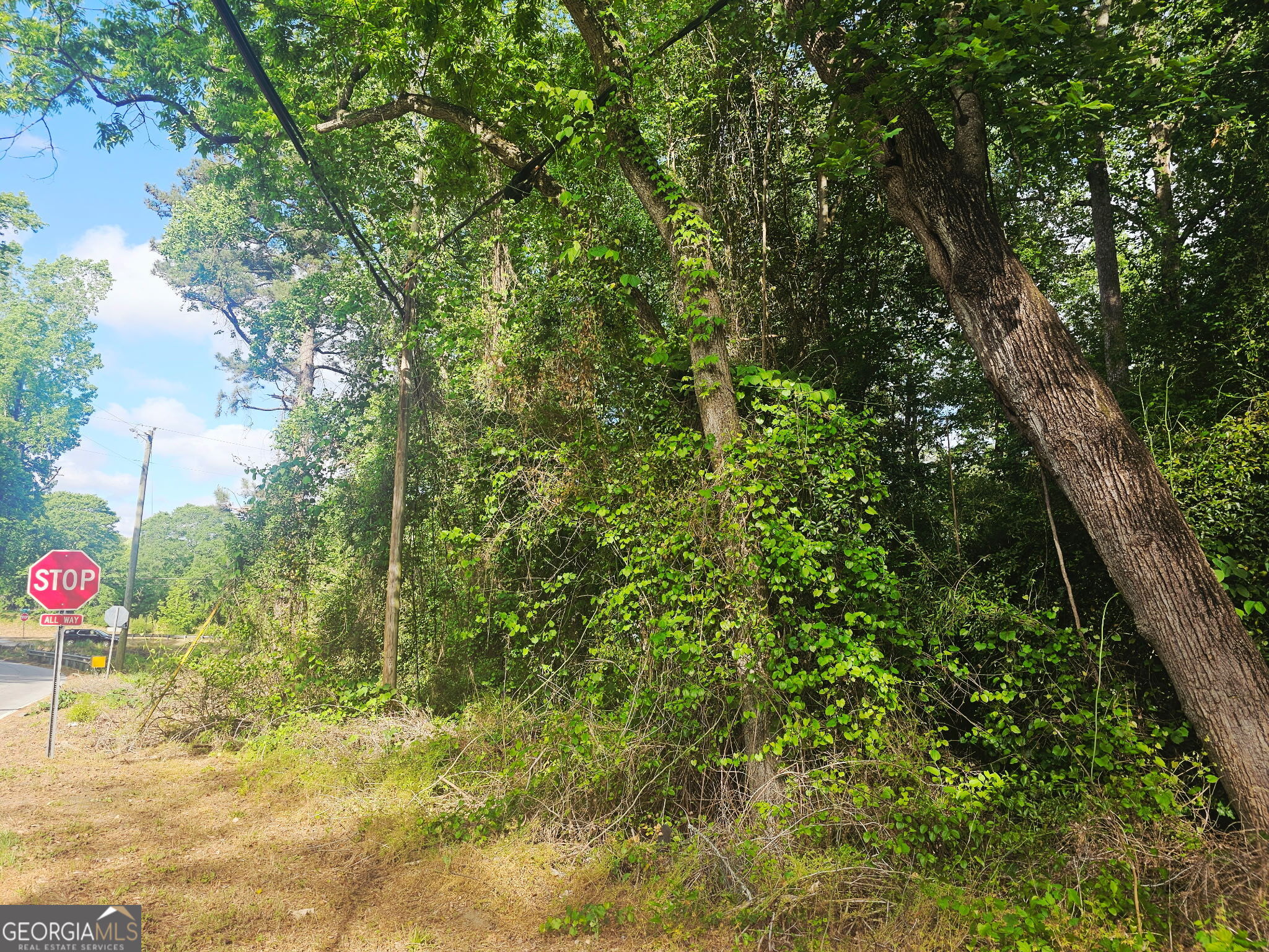 1956 Highway 20 Ne Property Photo 4