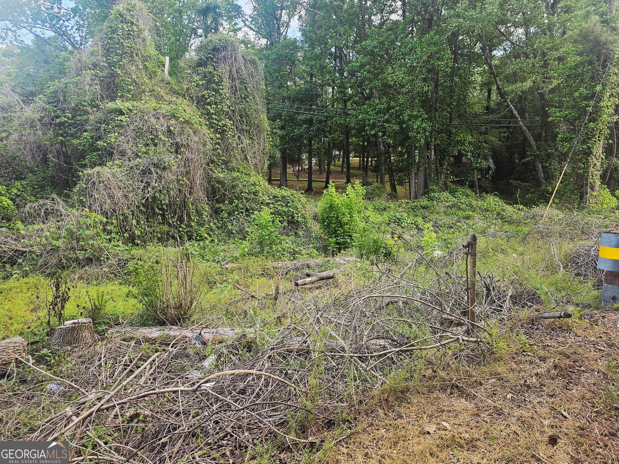 1956 Highway 20 Ne Property Photo 5