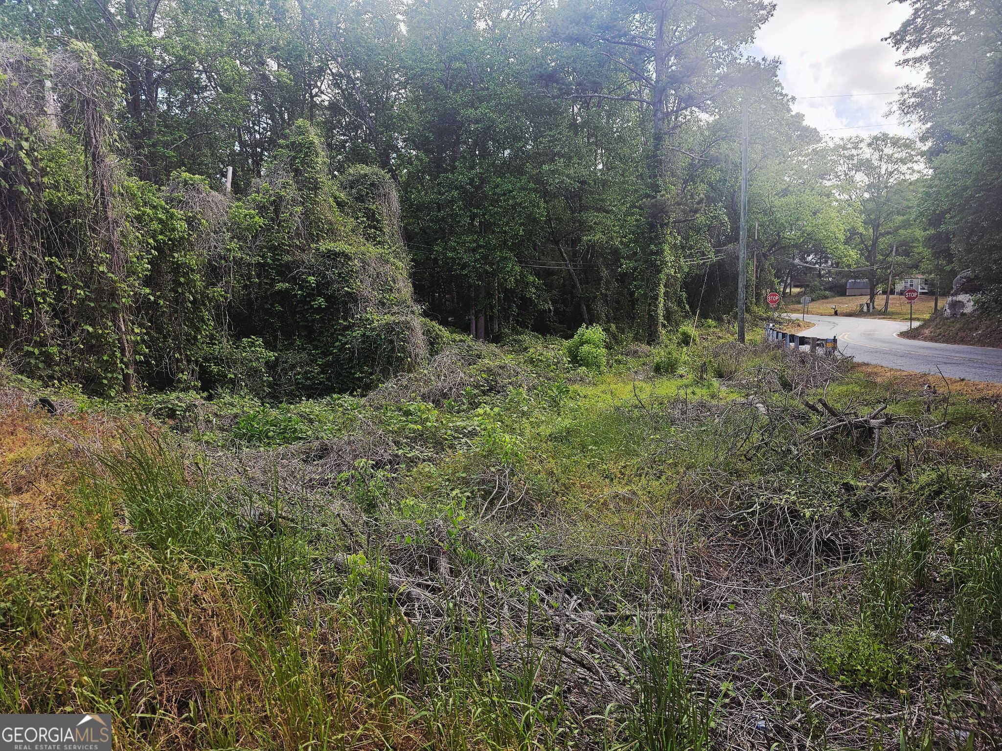 1956 Highway 20 Ne Property Photo 6