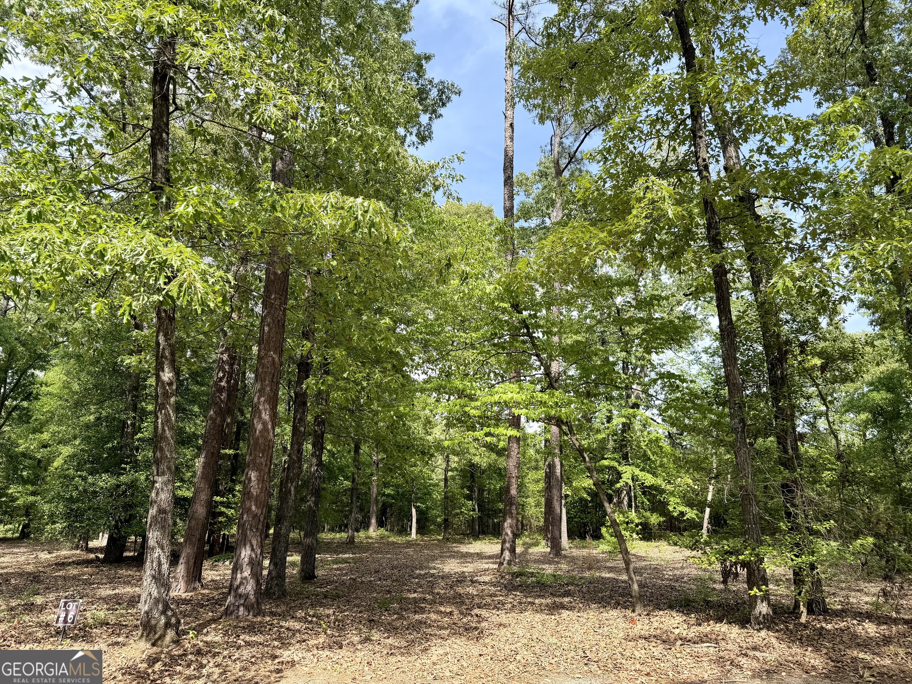 0 Deer Creek Trail Lot 6 Property Photo 1