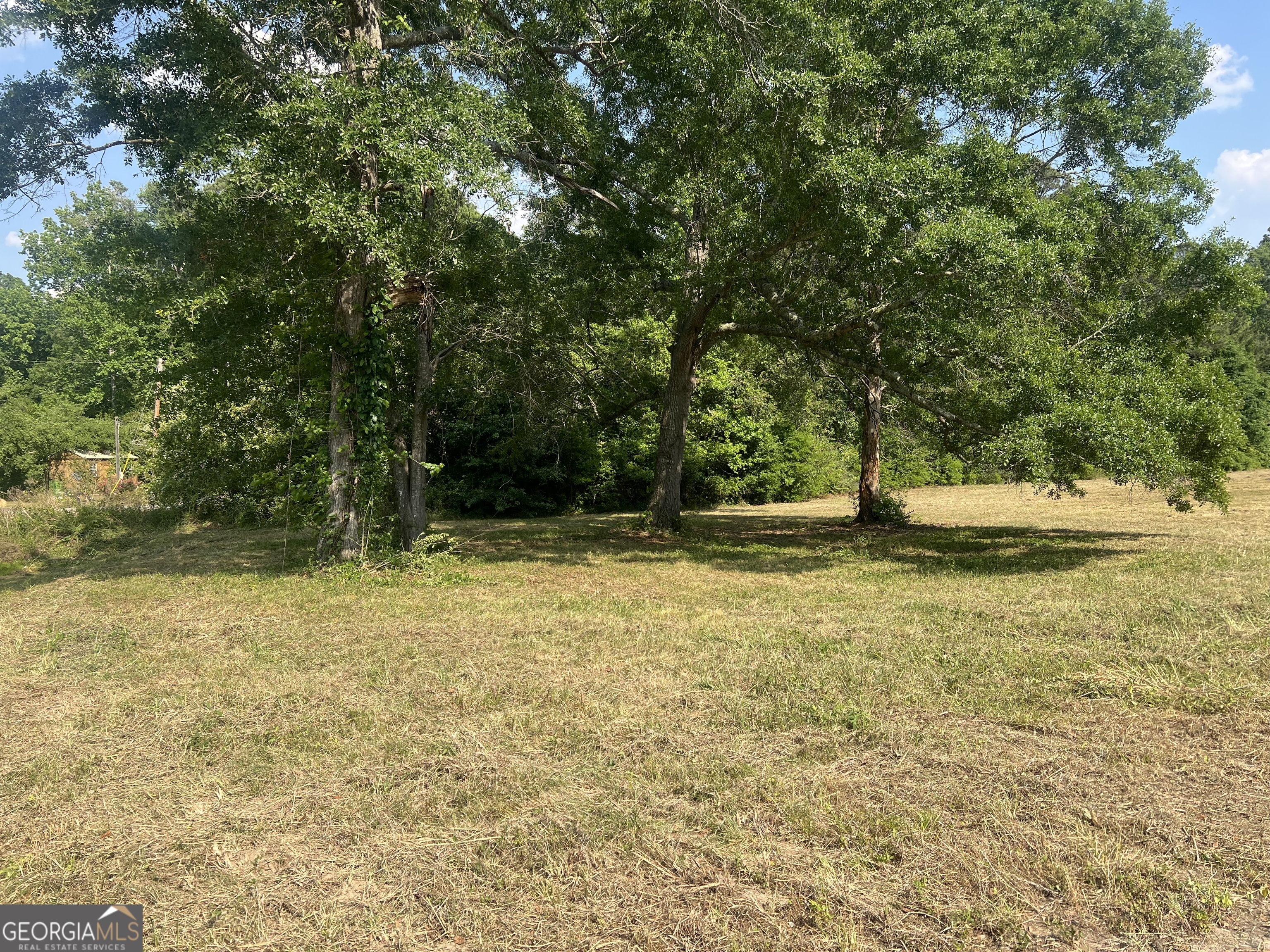 323 Forrest Clary Drive Property Photo 3