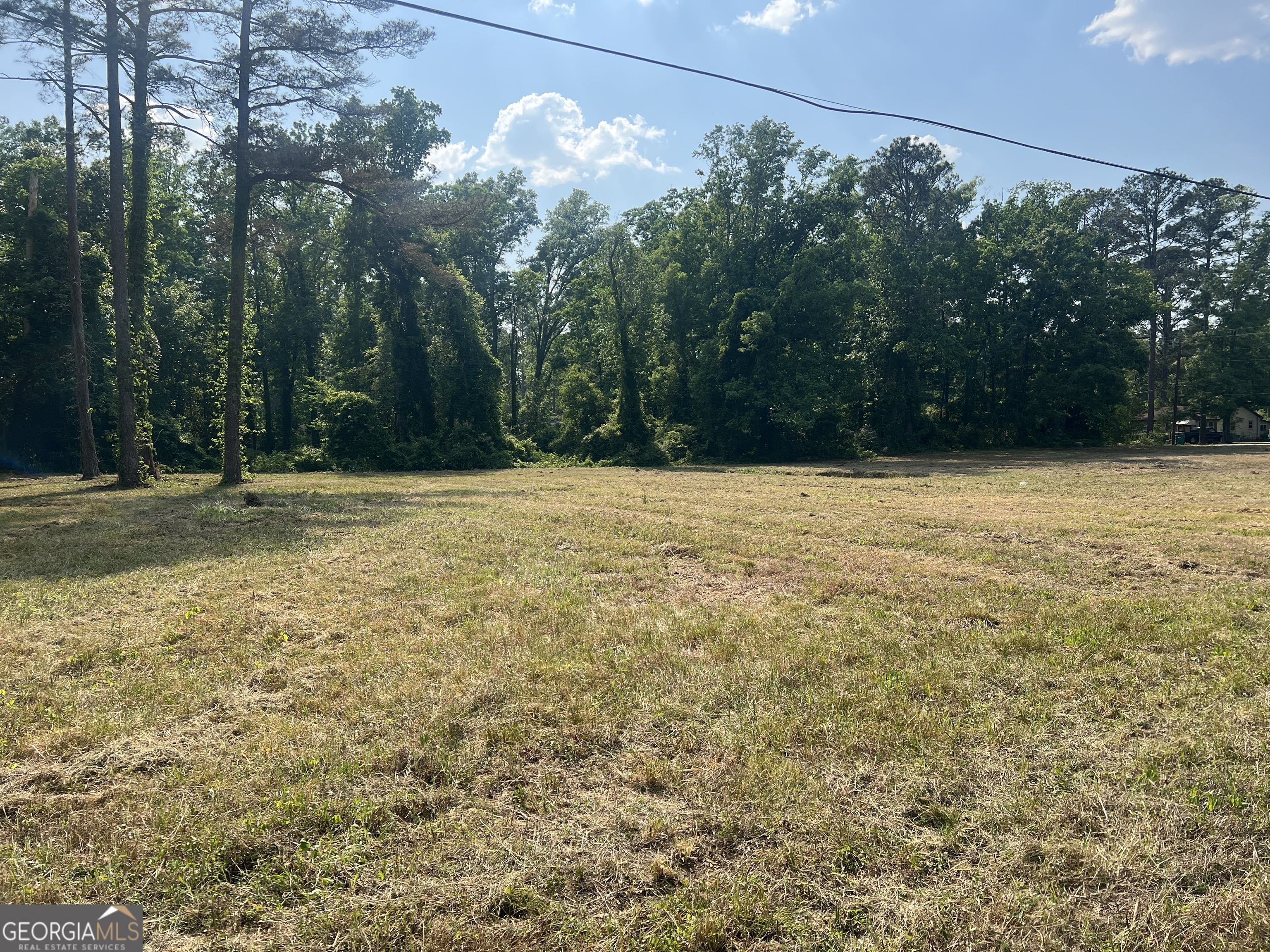 323 Forrest Clary Drive Property Photo 5