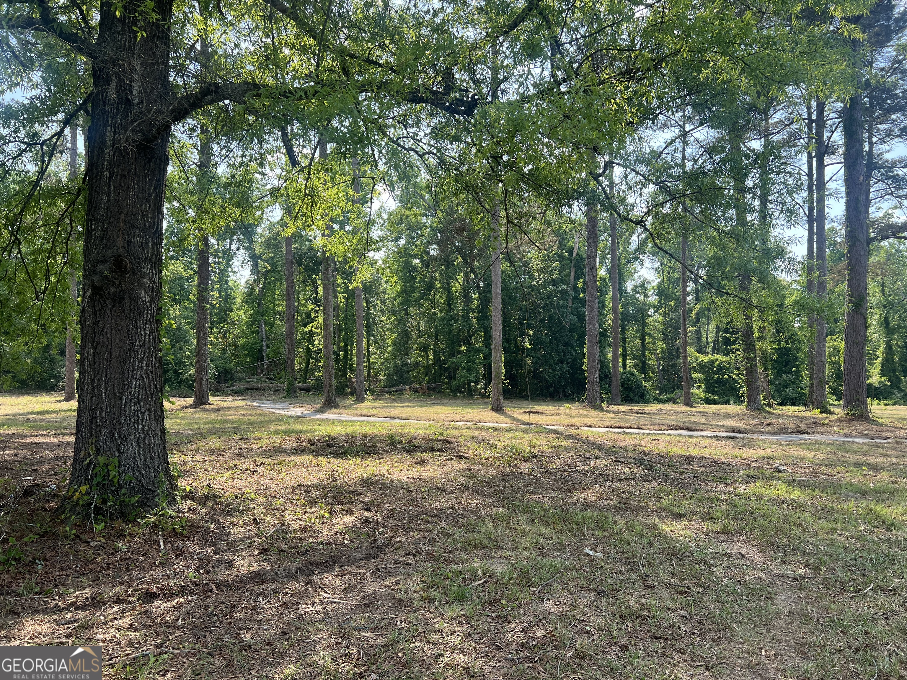 323 Forrest Clary Drive Property Photo 8