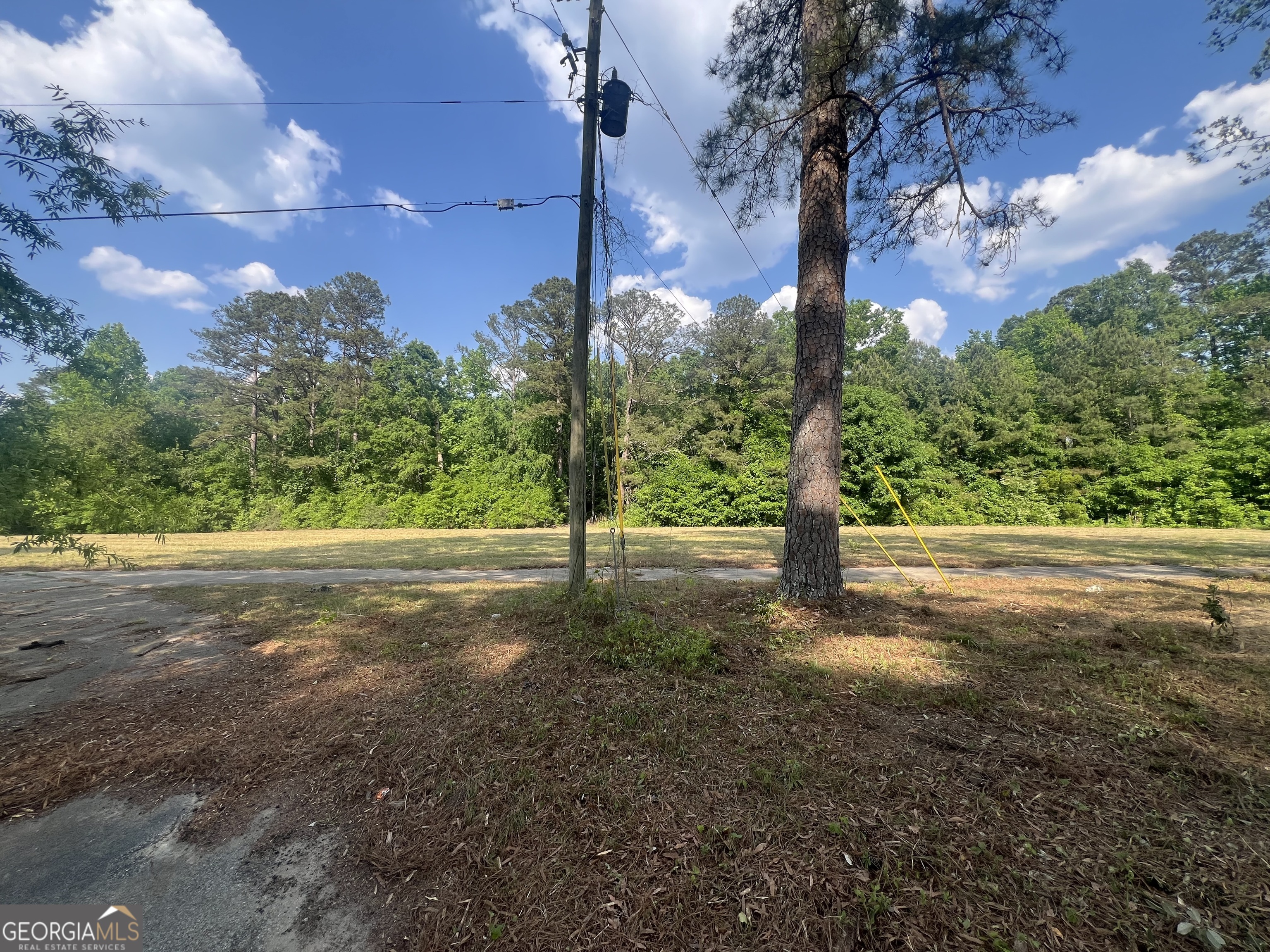 323 Forrest Clary Drive Property Photo 10