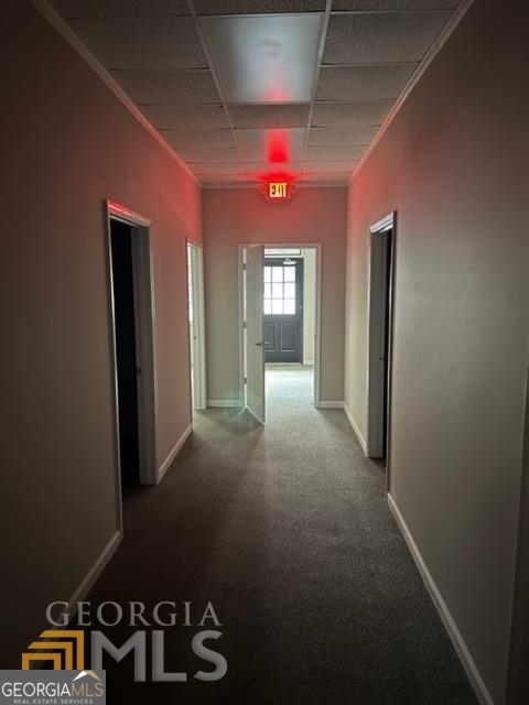 25 Siebald Street Property Photo 25