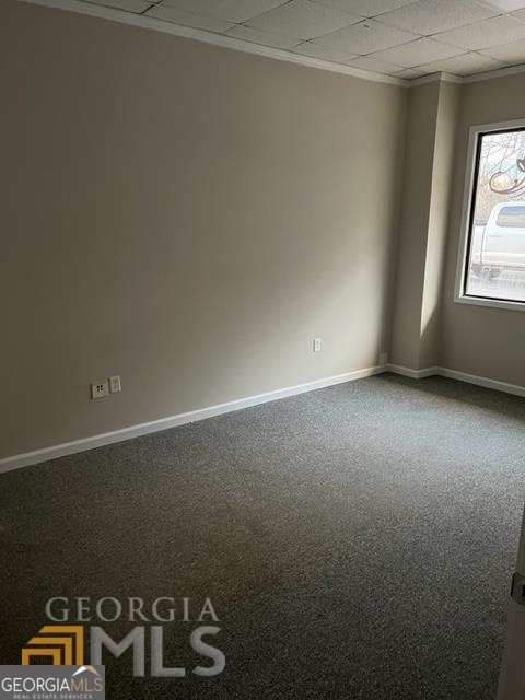 25 Siebald Street Property Photo 26