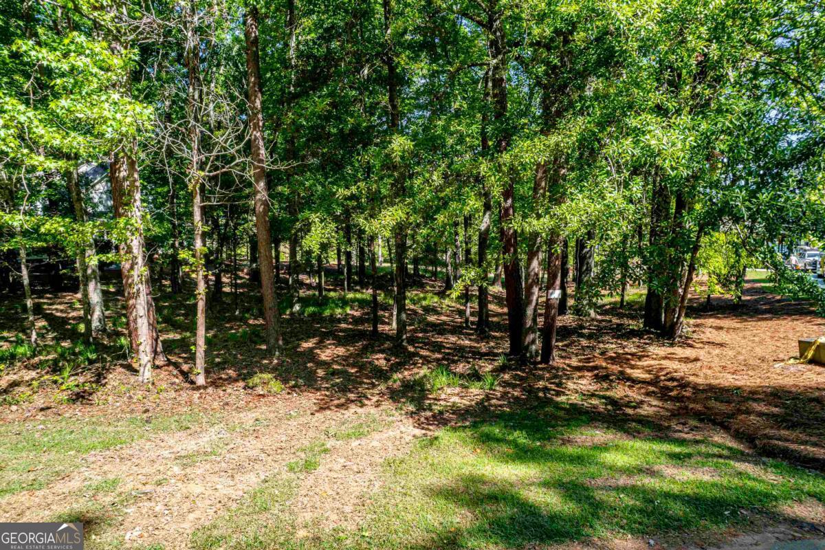 113 Blue Heron Drive Property Photo 14