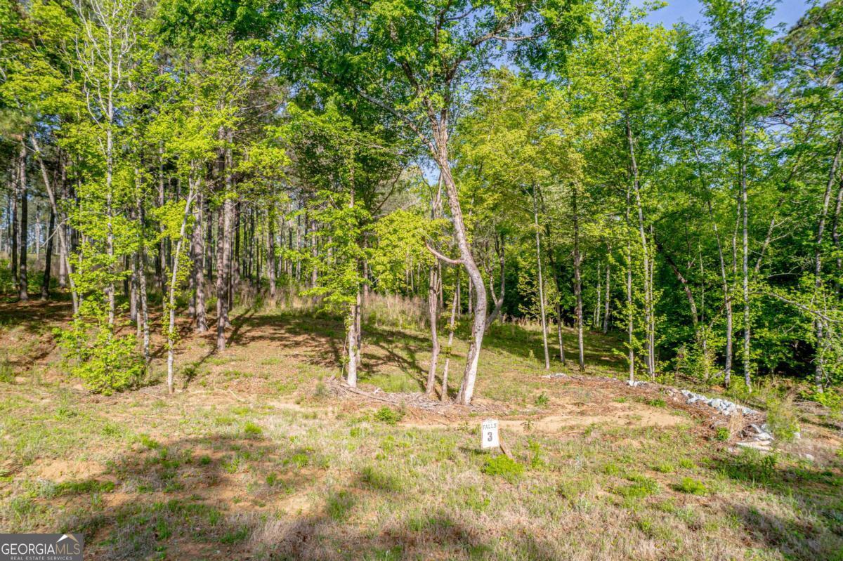 126 Falls Lane Property Photo 1