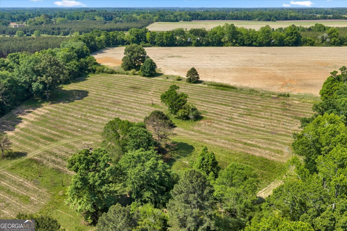 0 Highway 80 Property Photo 3