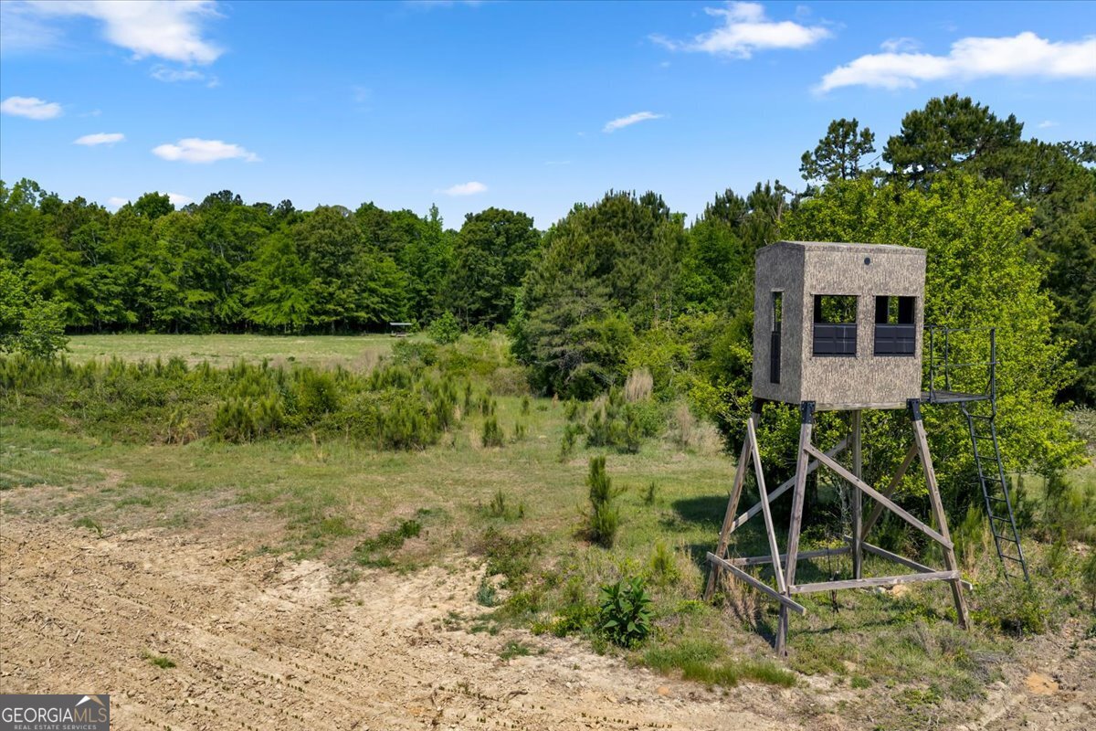 0 Highway 80 Property Photo 4