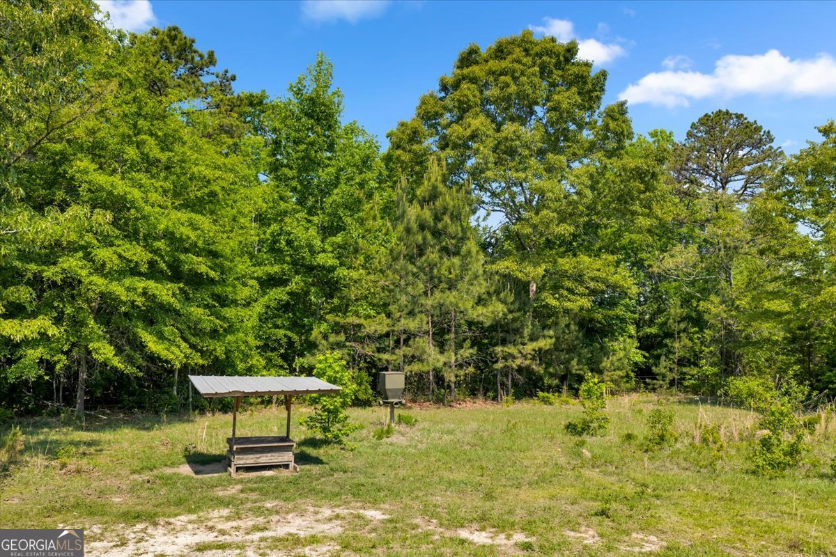 0 Highway 80 Property Photo 12