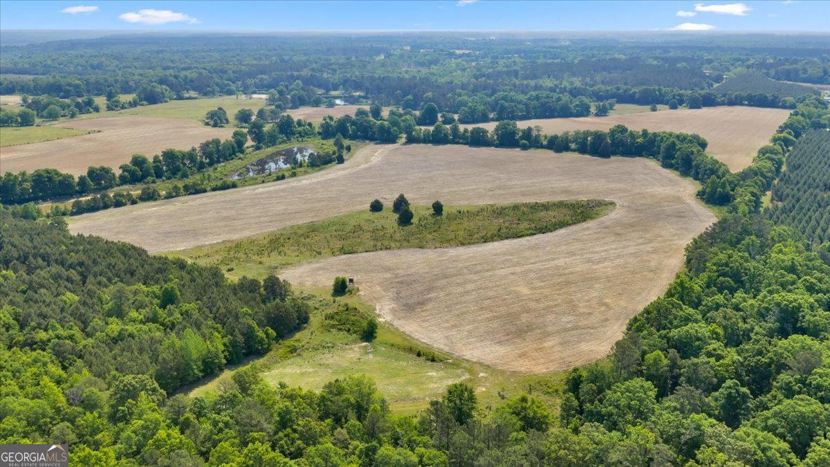 0 Highway 80 Property Photo 20