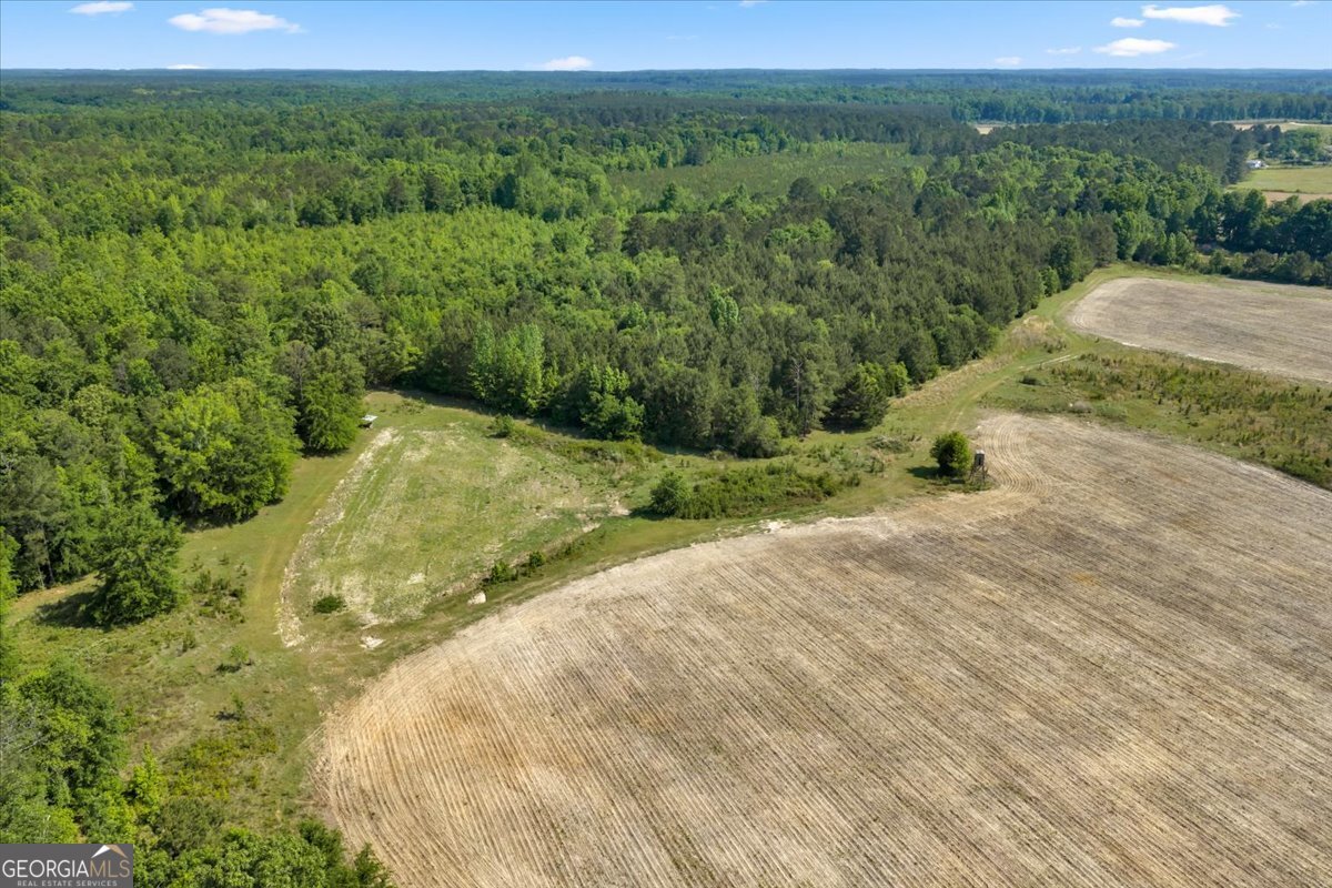 0 Highway 80 Property Photo 22
