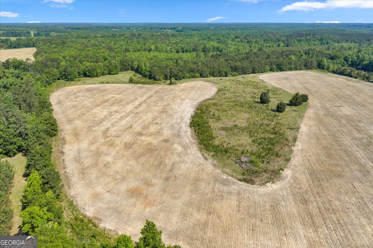 0 Highway 80 Property Photo 23