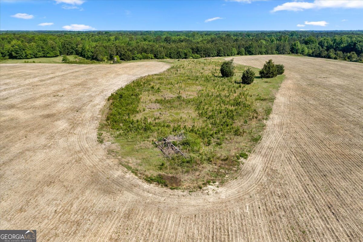 0 Highway 80 Property Photo 24