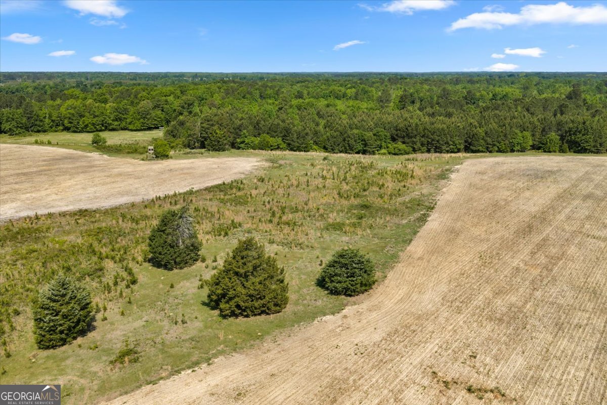 0 Highway 80 Property Photo 25