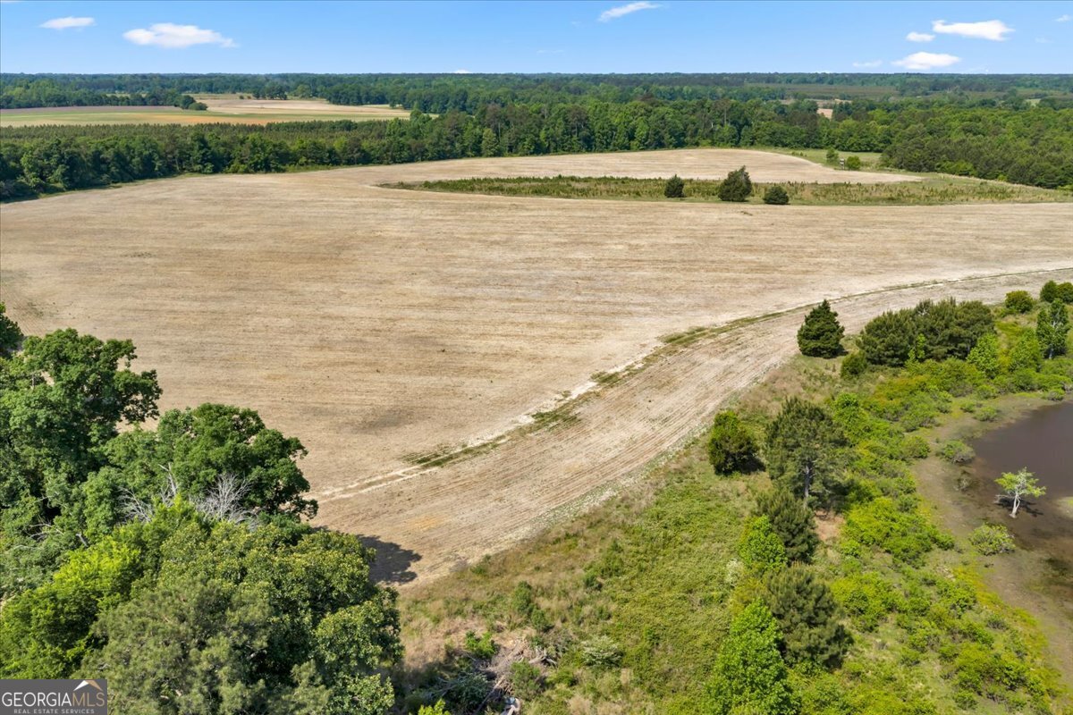 0 Highway 80 Property Photo 26