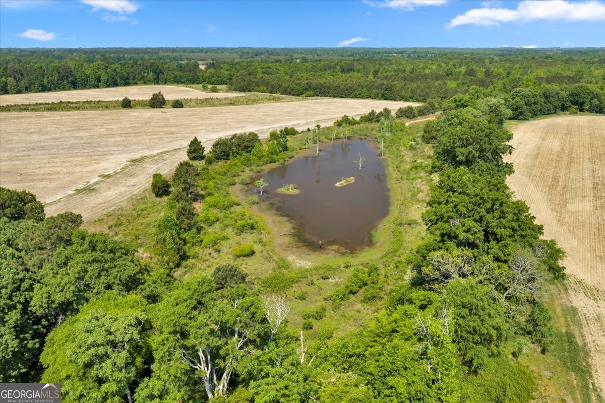 0 Highway 80 Property Photo 27
