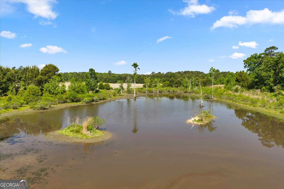 0 Highway 80 Property Photo 30