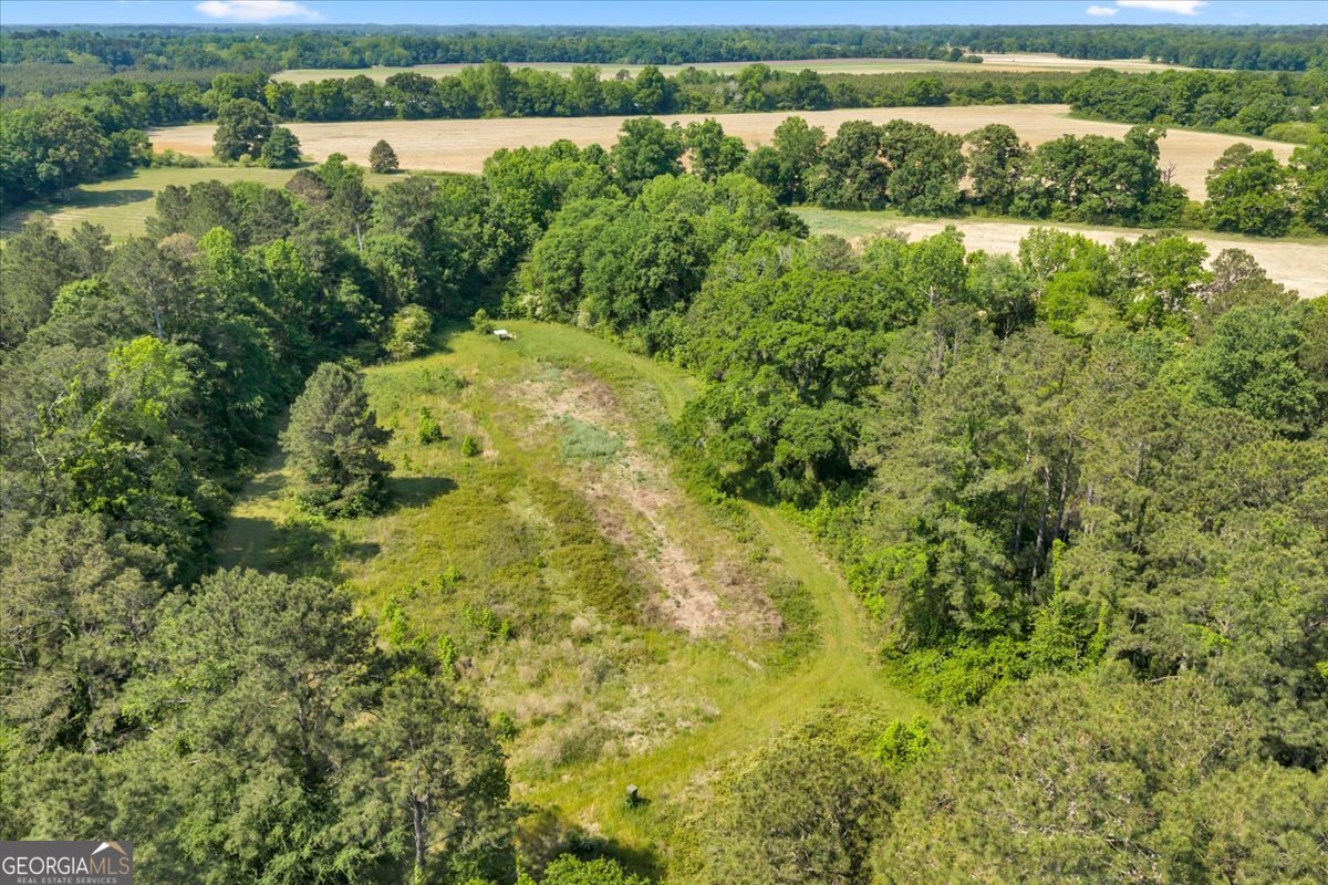 0 Highway 80 Property Photo 42