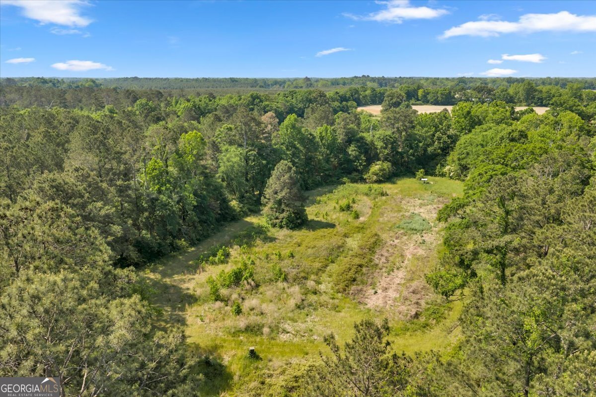 0 Highway 80 Property Photo 43