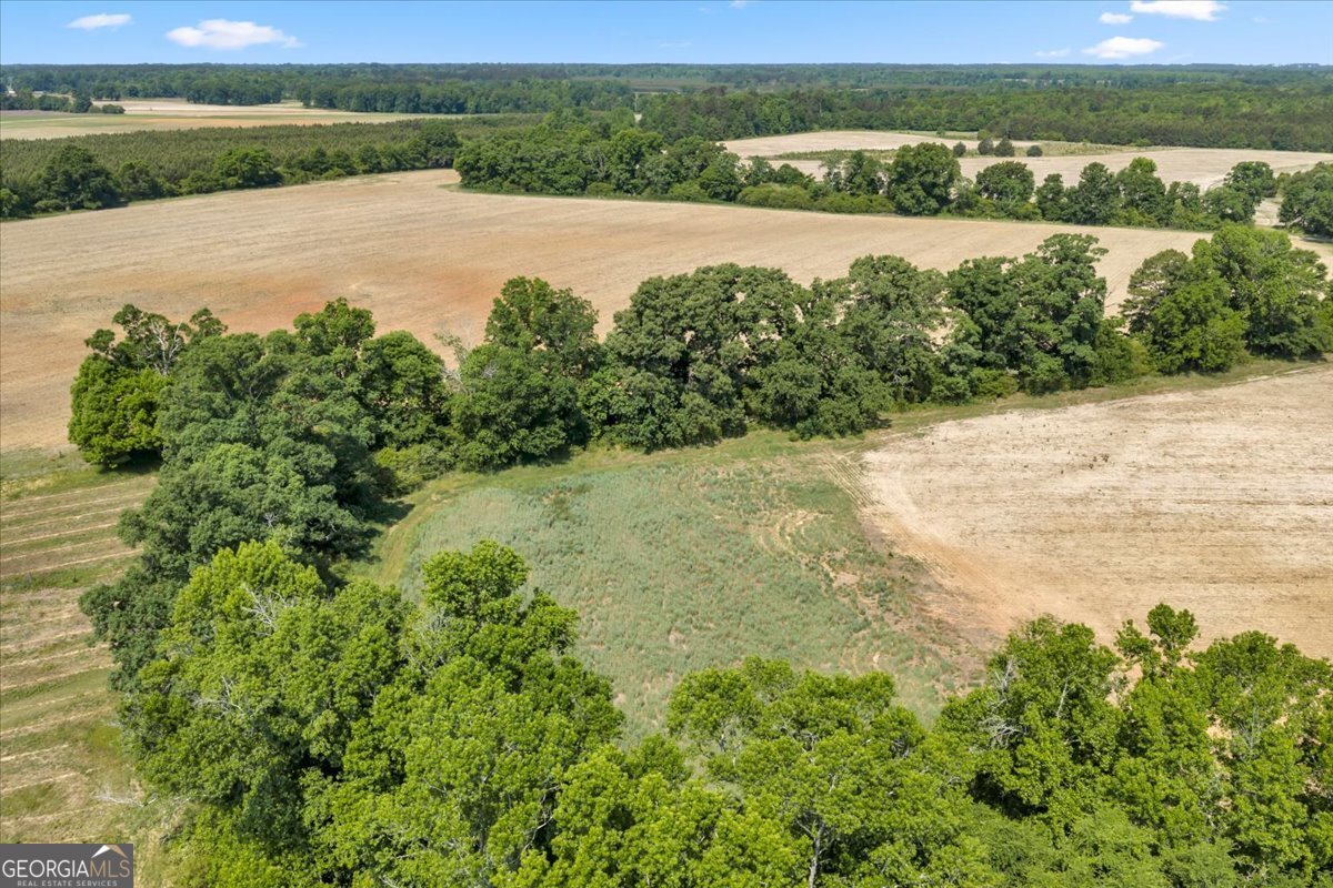 0 Highway 80 Property Photo 44