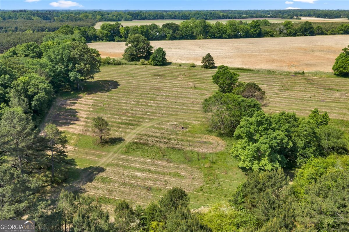 0 Highway 80 Property Photo 45