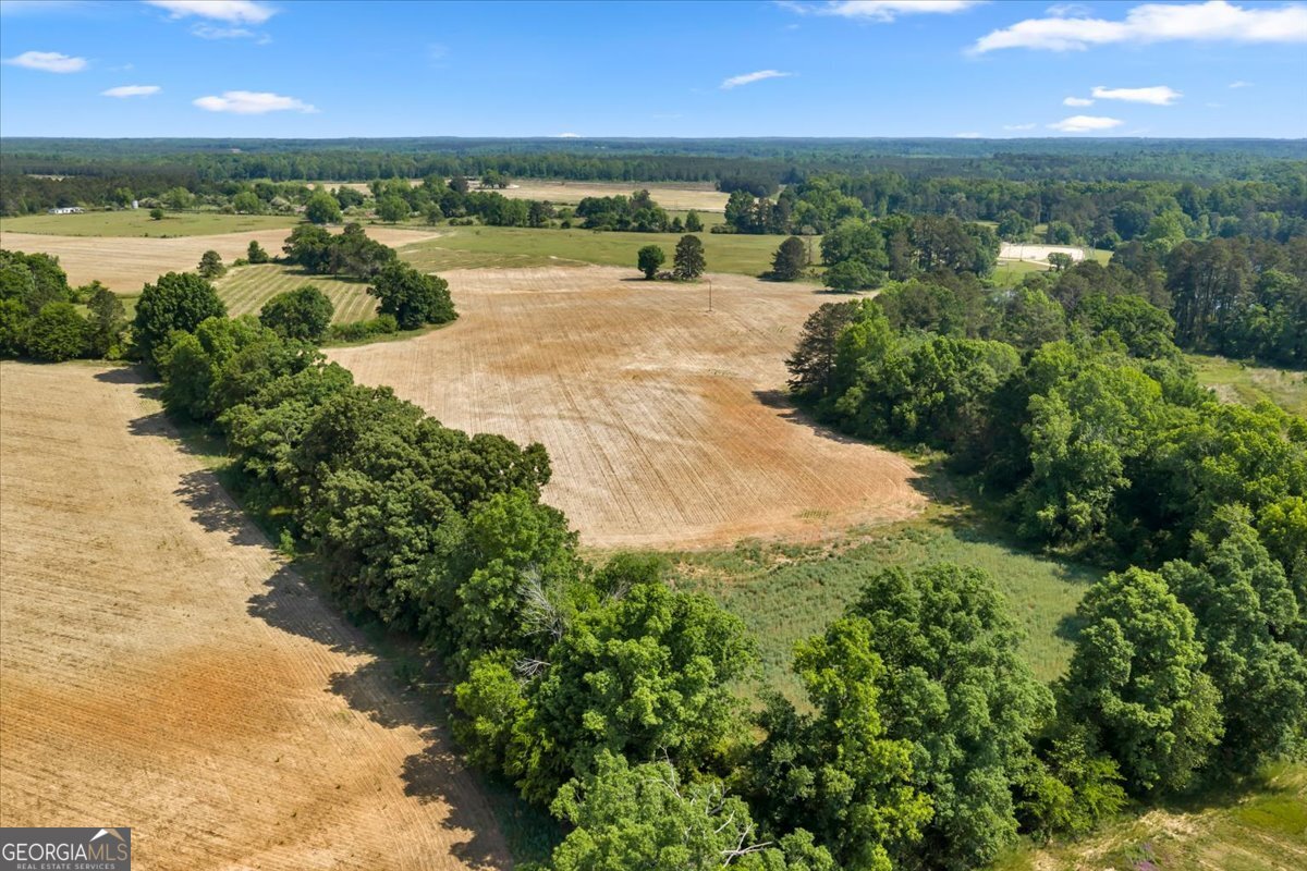 0 Highway 80 Property Photo 46