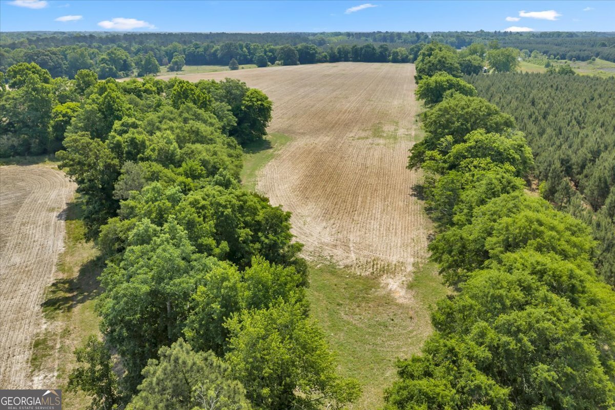 0 Highway 80 Property Photo 47