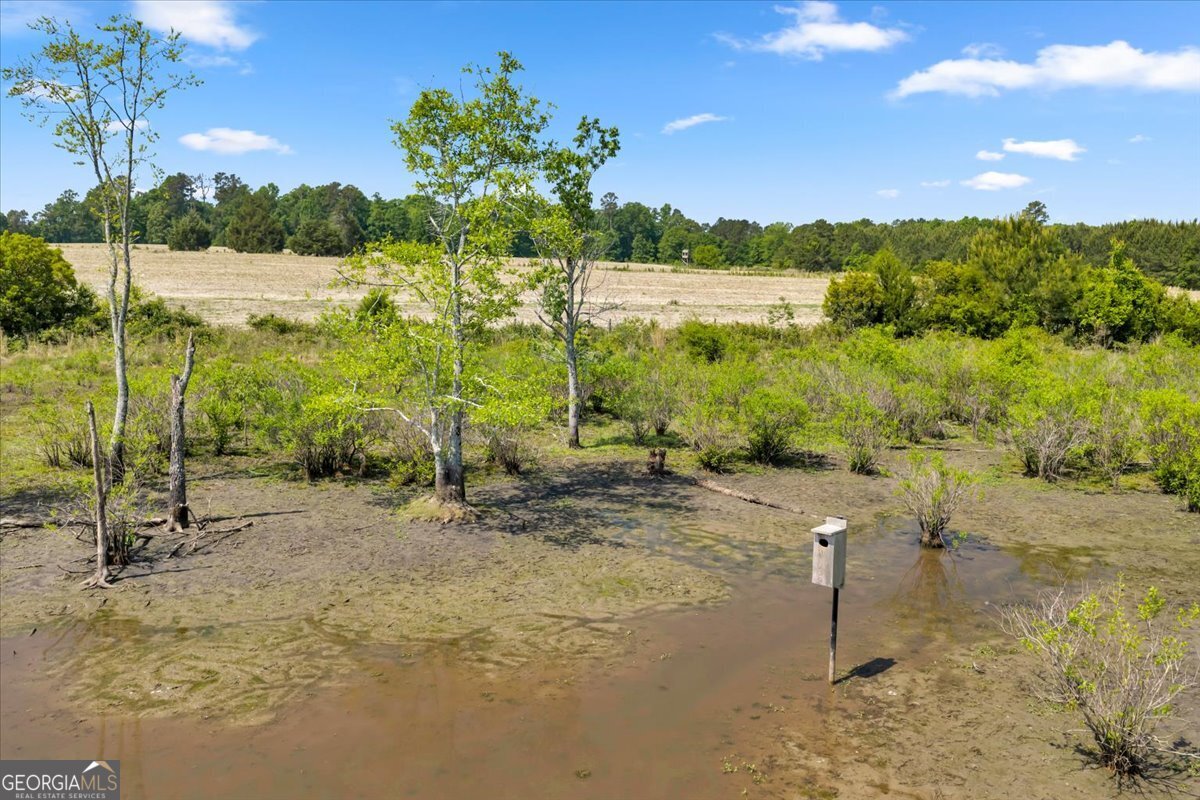 0 Highway 80 Property Photo 51