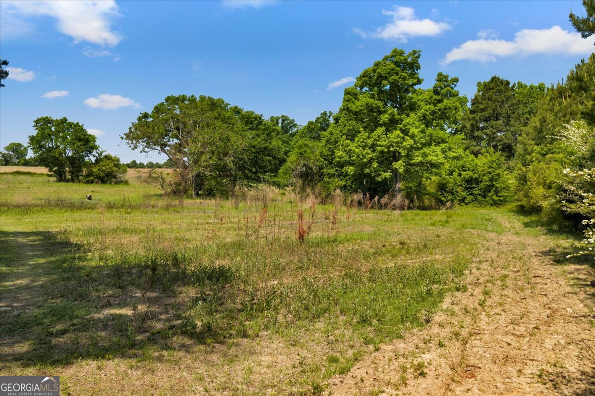 0 Highway 80 Property Photo 52