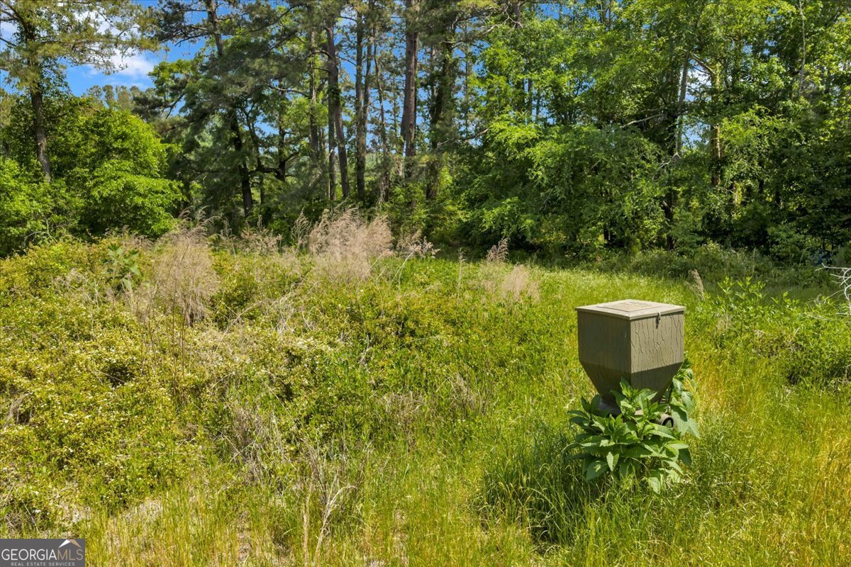 0 Highway 80 Property Photo 53