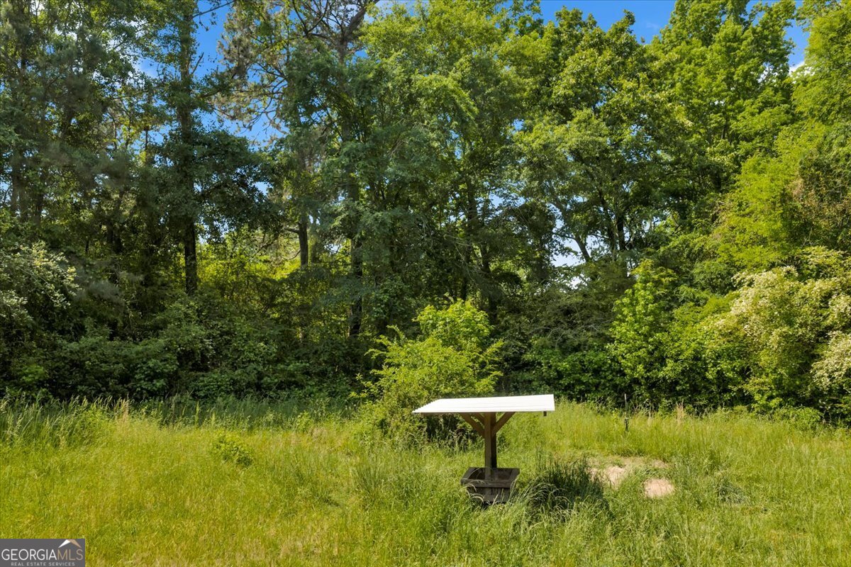 0 Highway 80 Property Photo 54