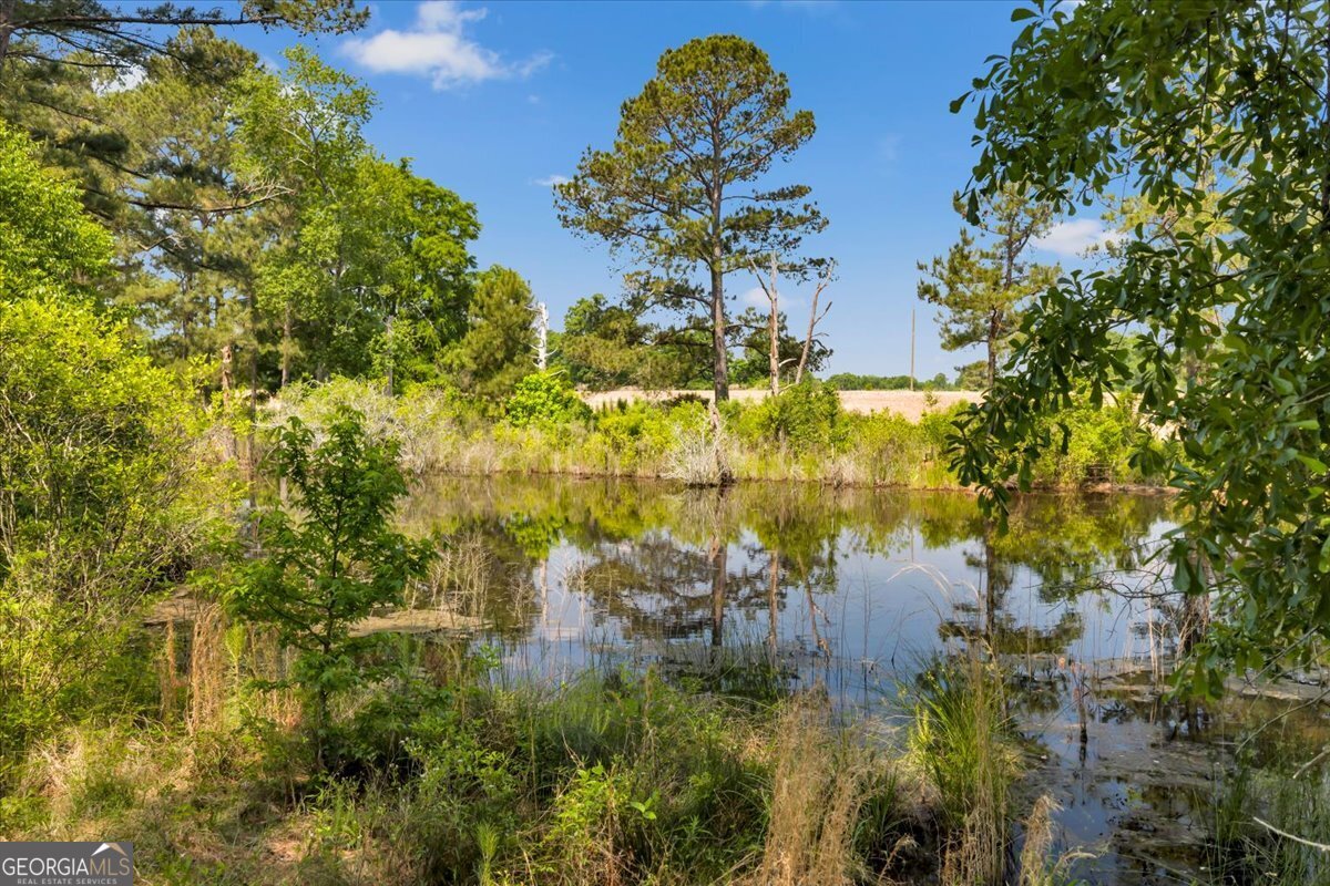 0 Highway 80 Property Photo 65