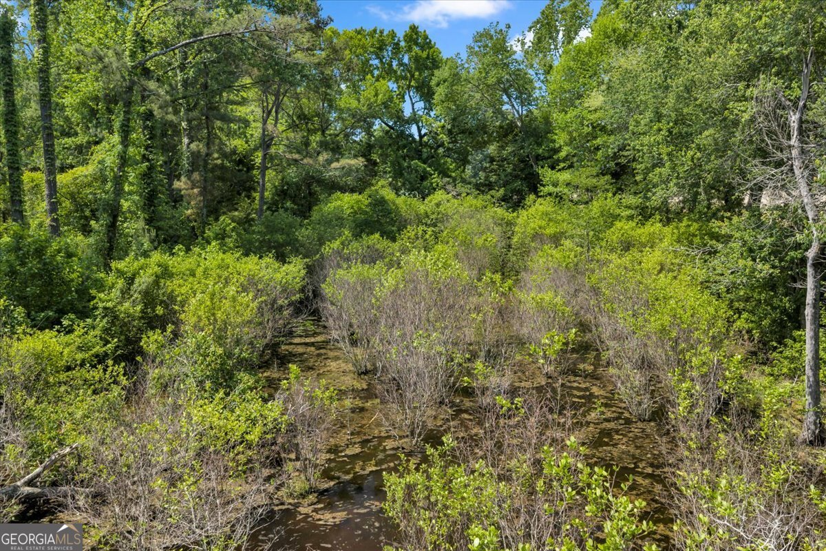 0 Highway 80 Property Photo 69