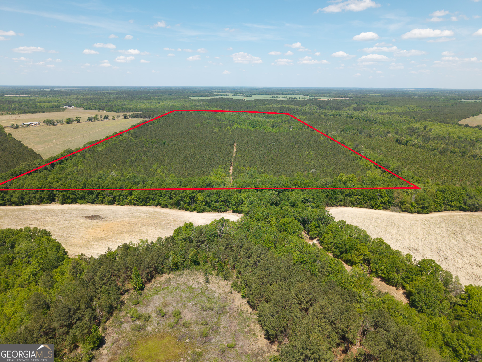 0 Effingham Highway Property Photo 9