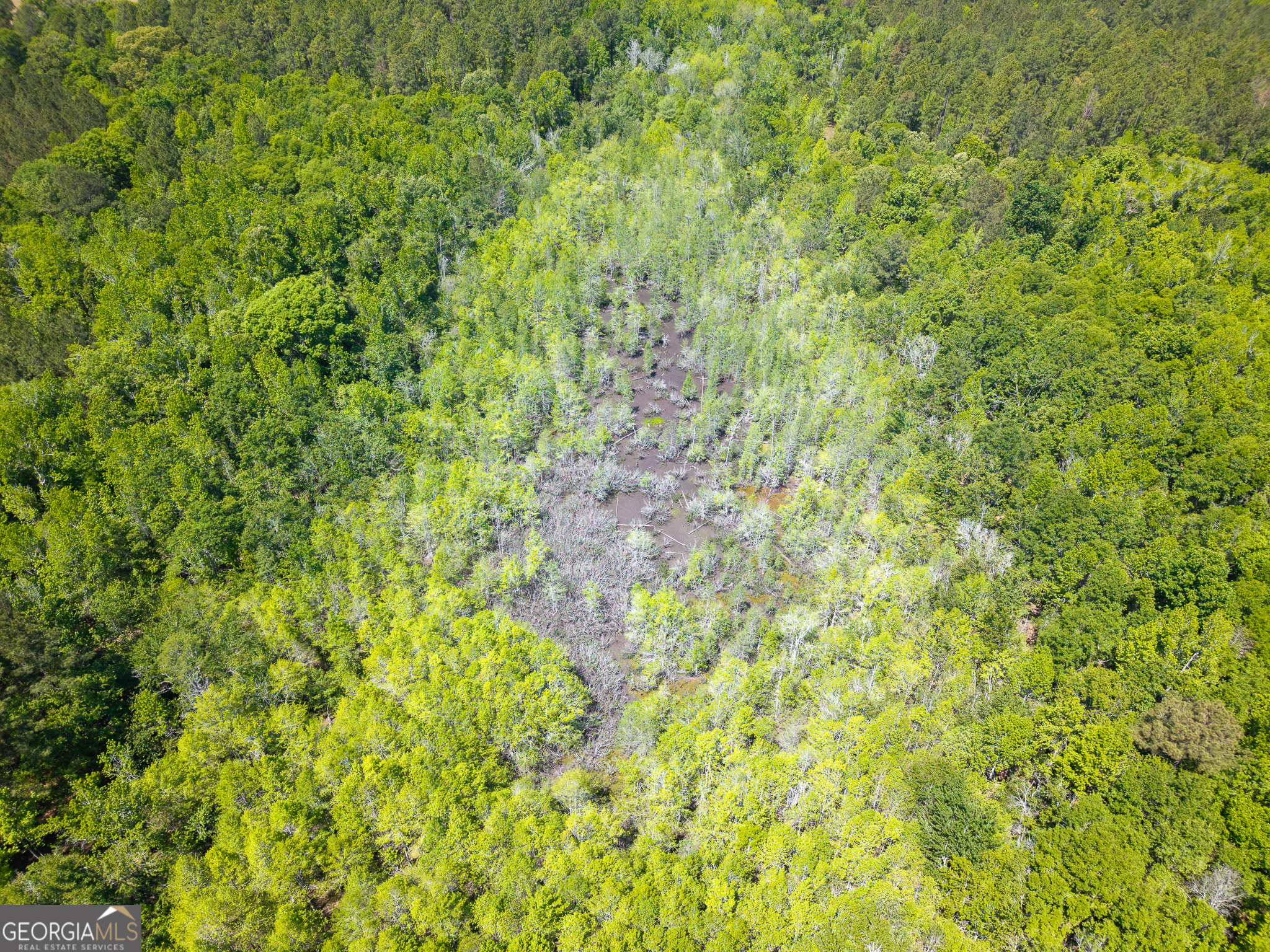 0 Effingham Highway Property Photo 21