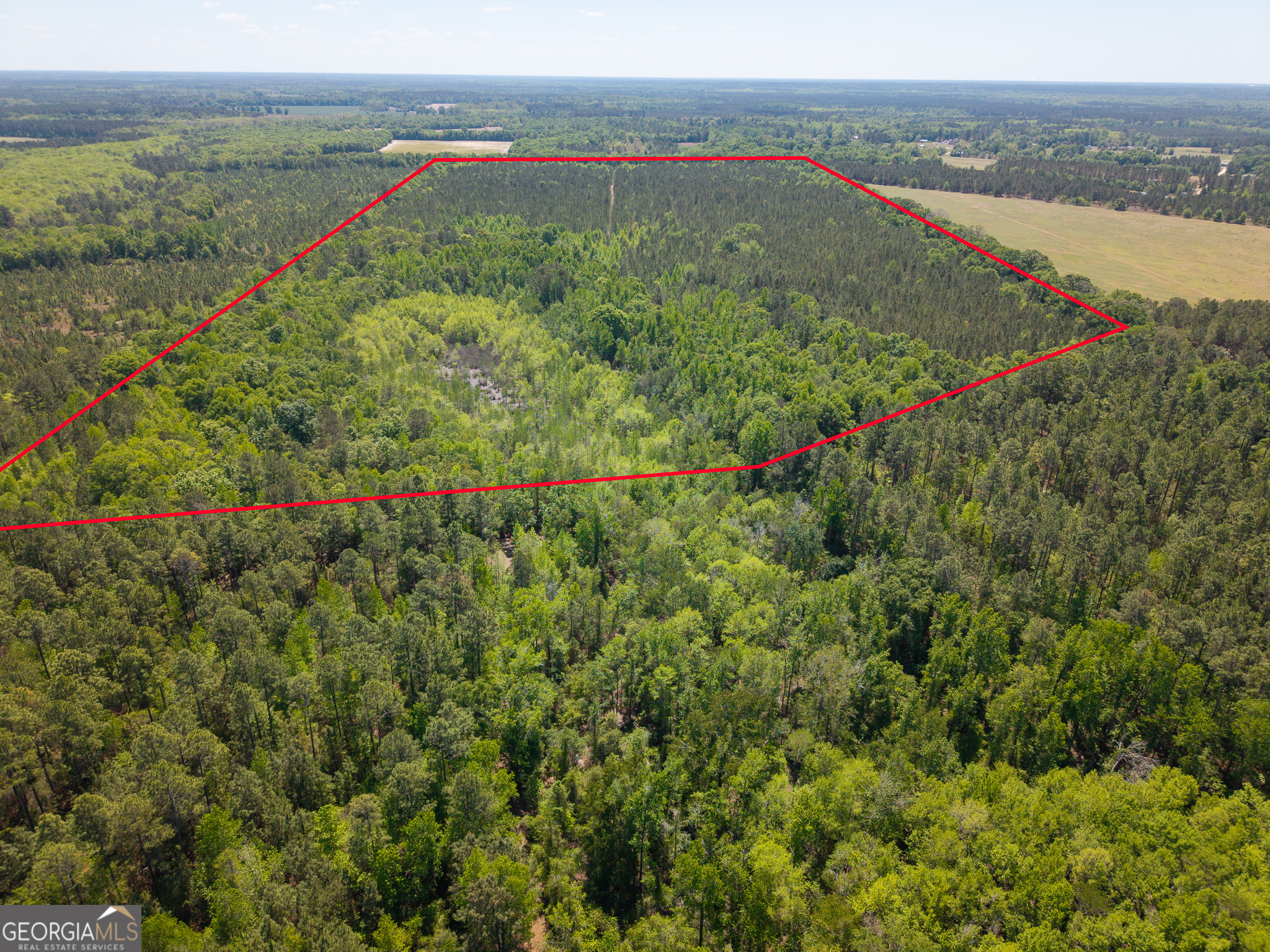 0 Effingham Highway Property Photo 22