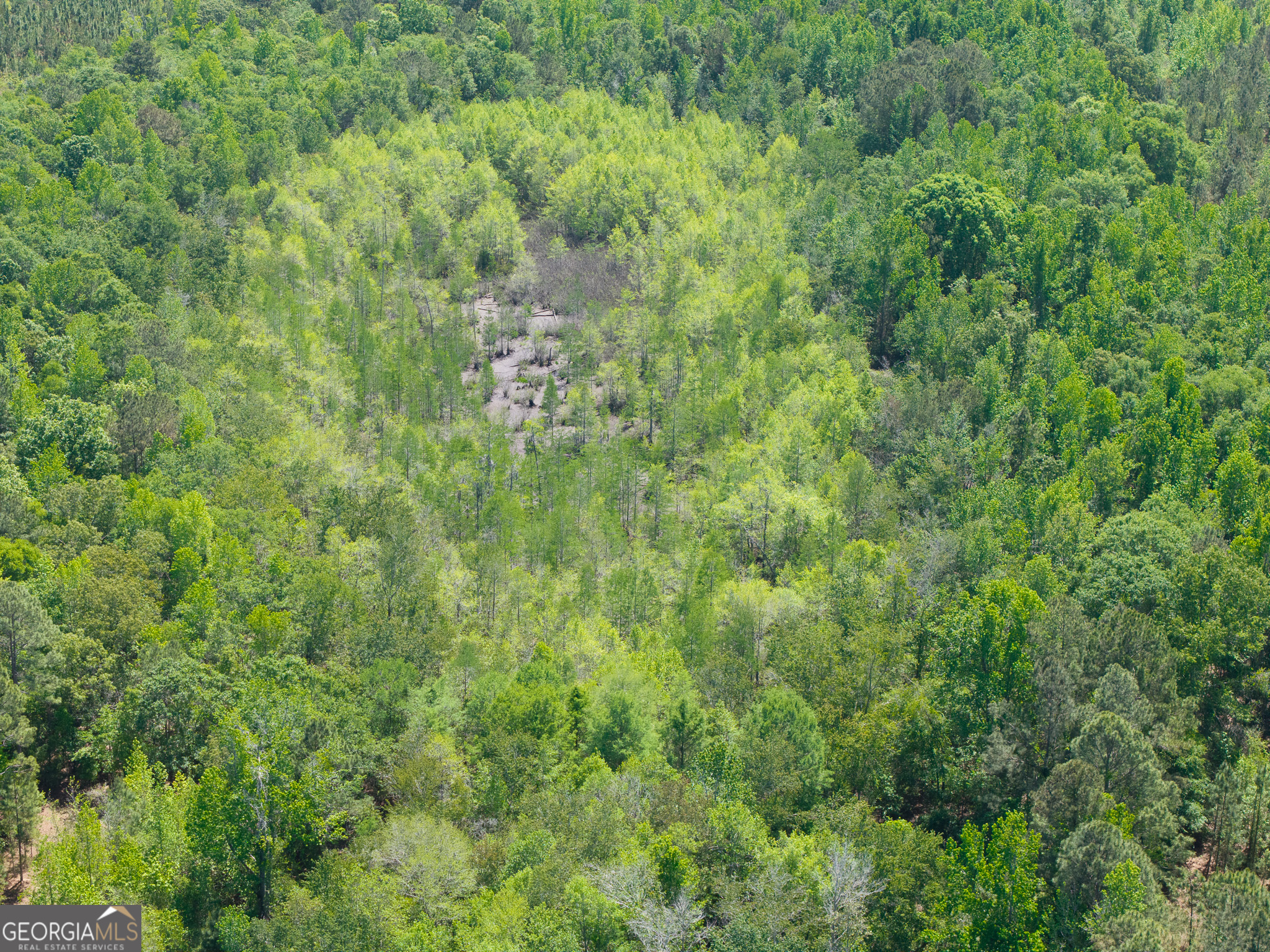 0 Effingham Highway Property Photo 23