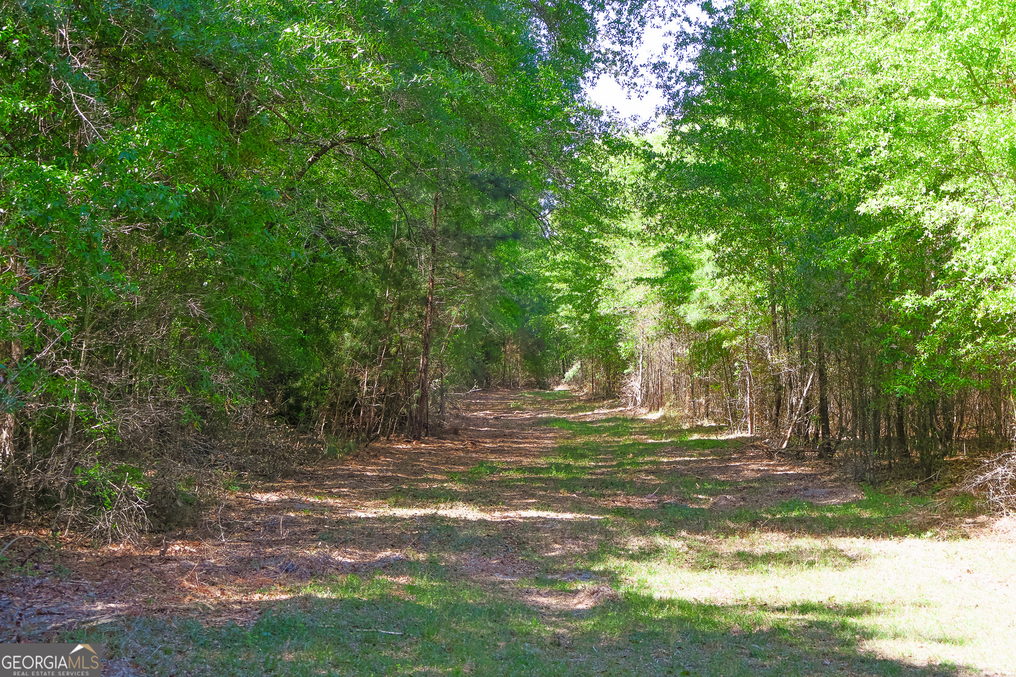 0 Effingham Highway Property Photo 25