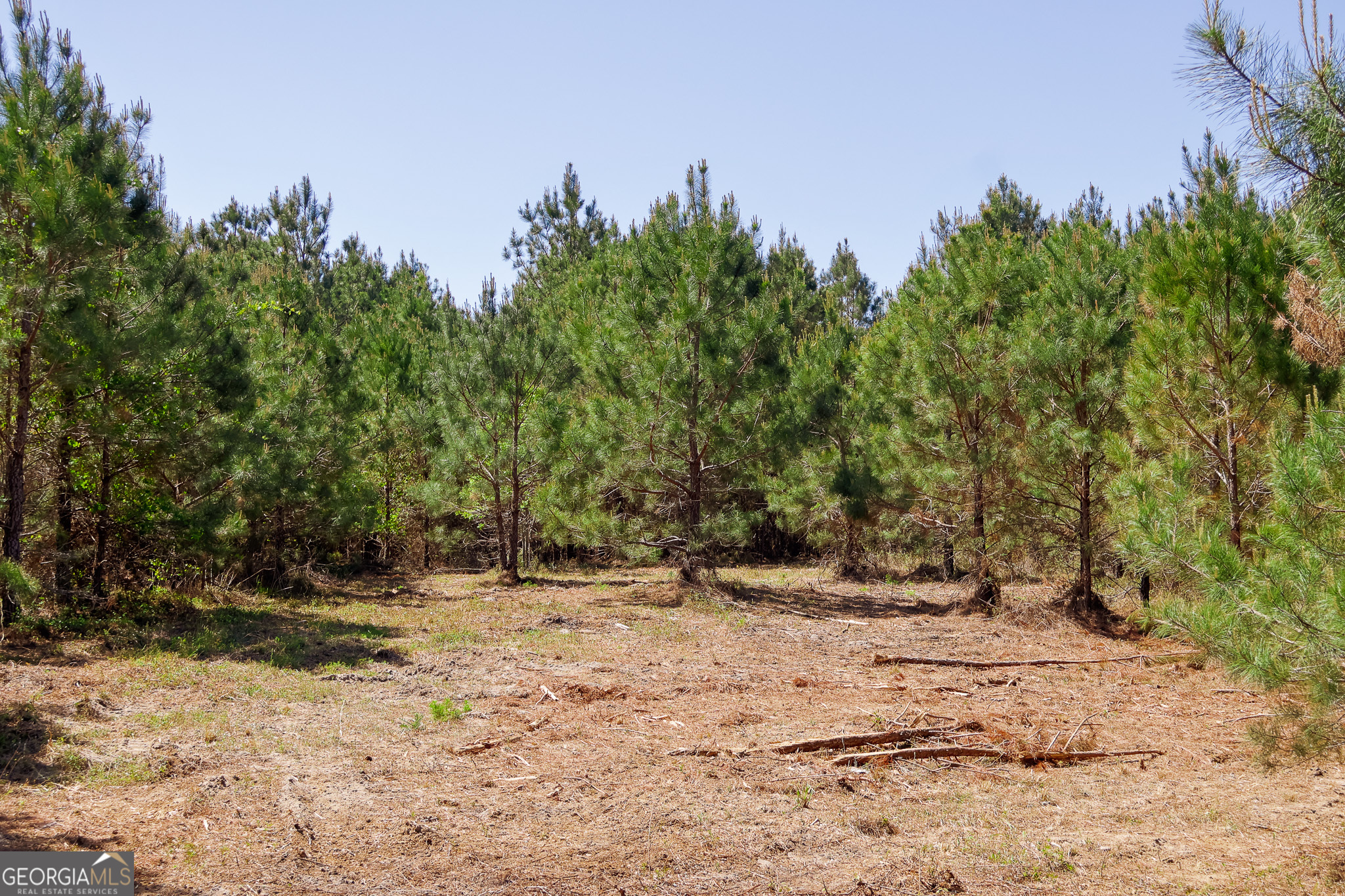 0 Effingham Highway Property Photo 26
