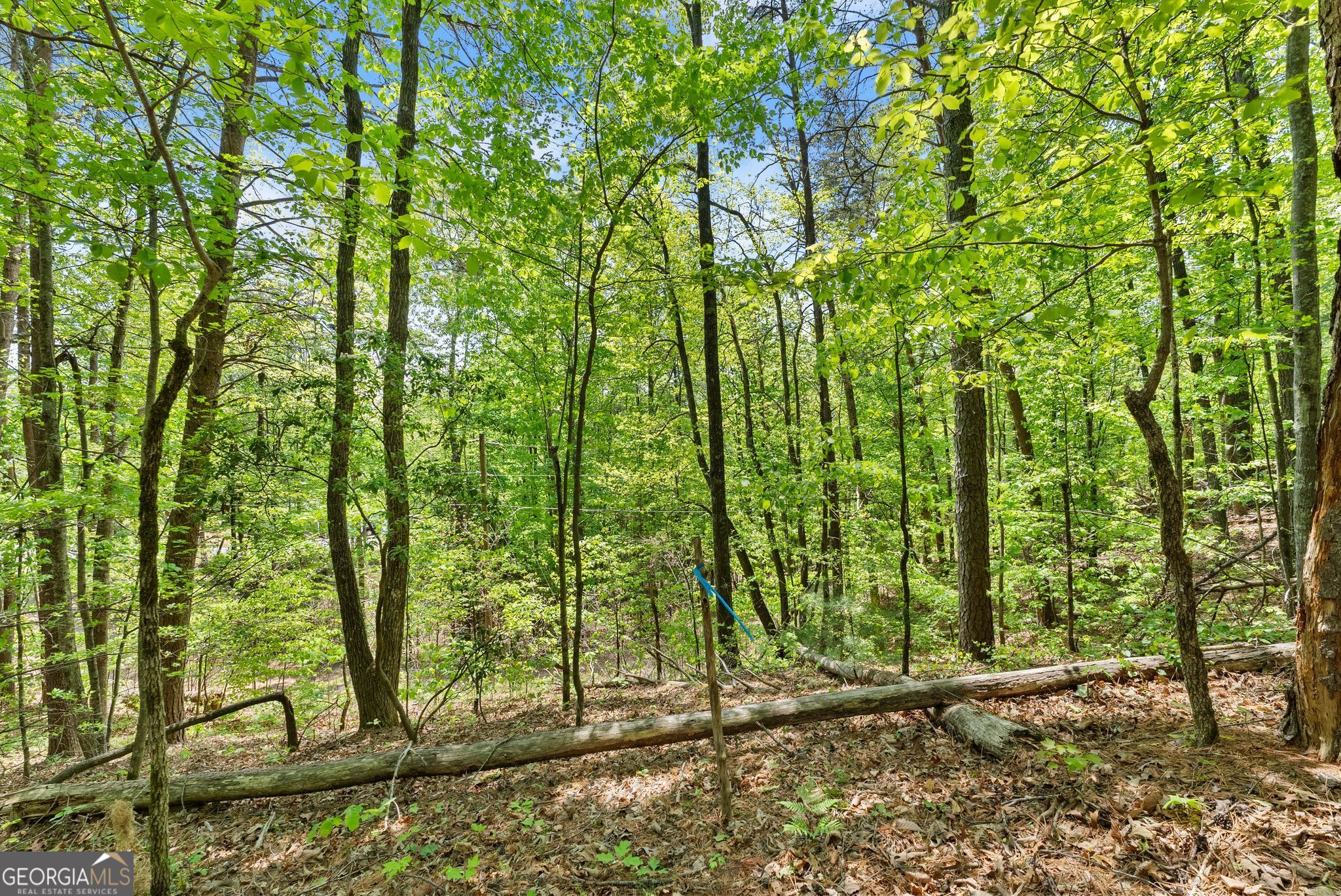 0 Monroe Ridge Road Property Photo 4