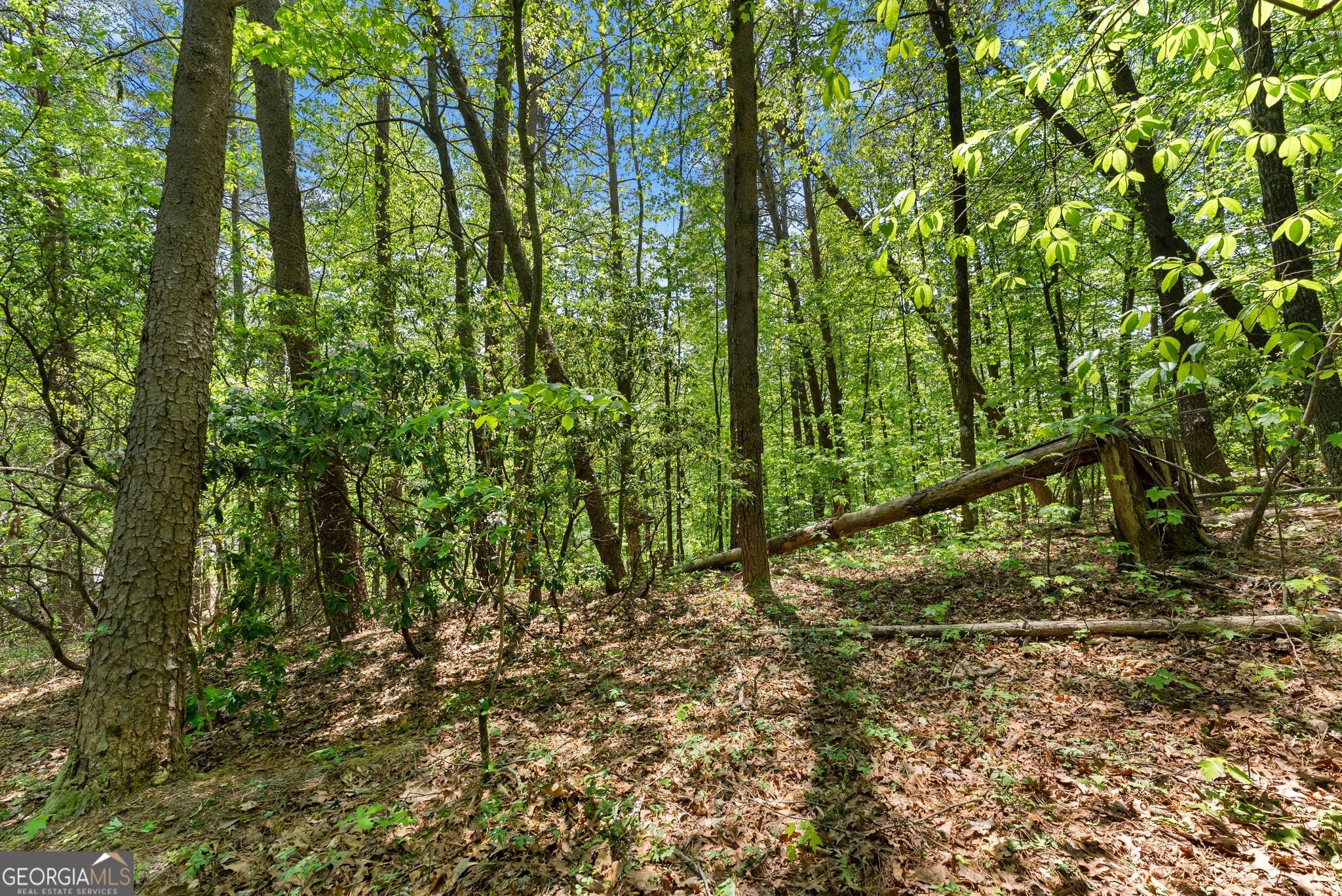 0 Monroe Ridge Road Property Photo 5