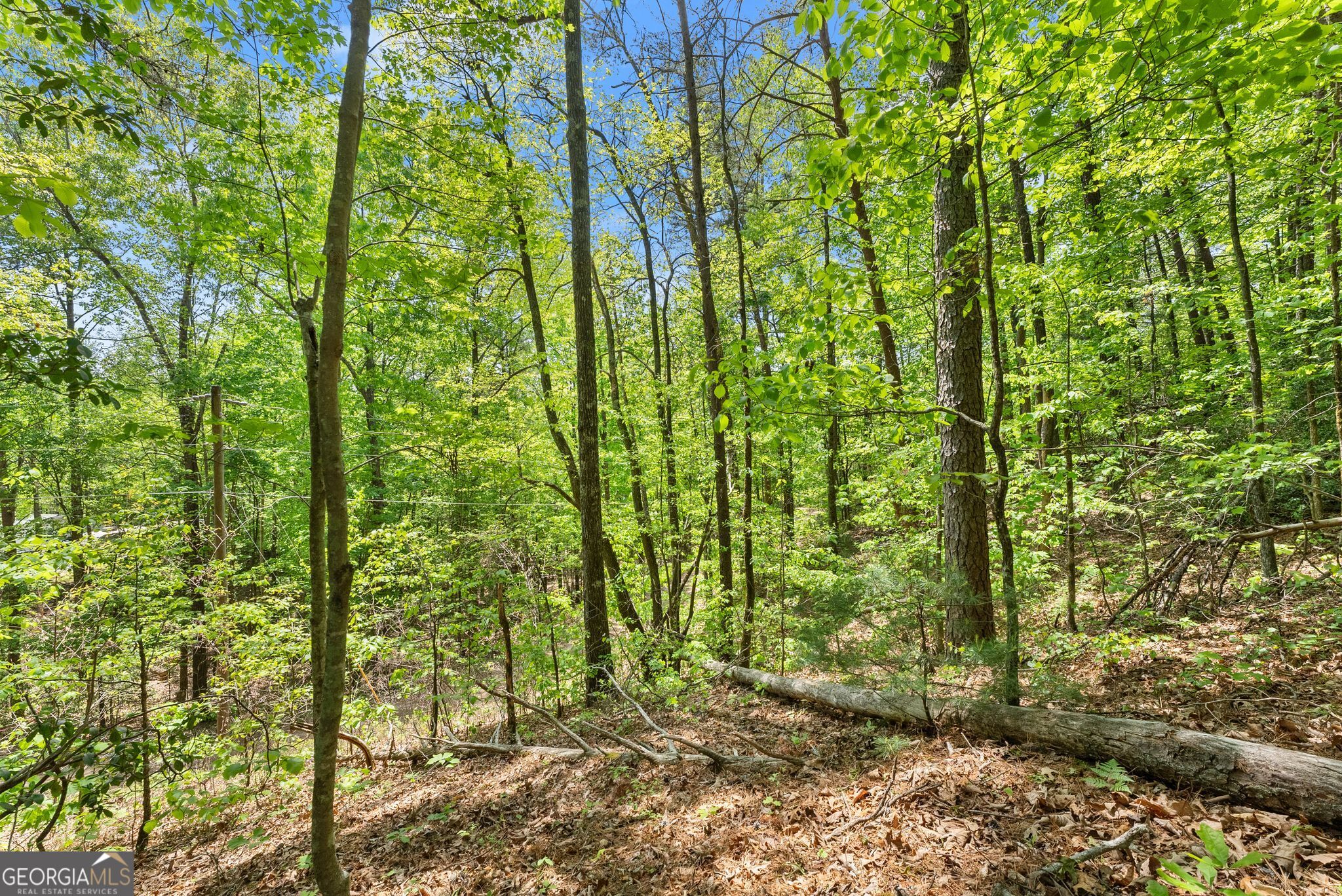 0 Monroe Ridge Road Property Photo 7